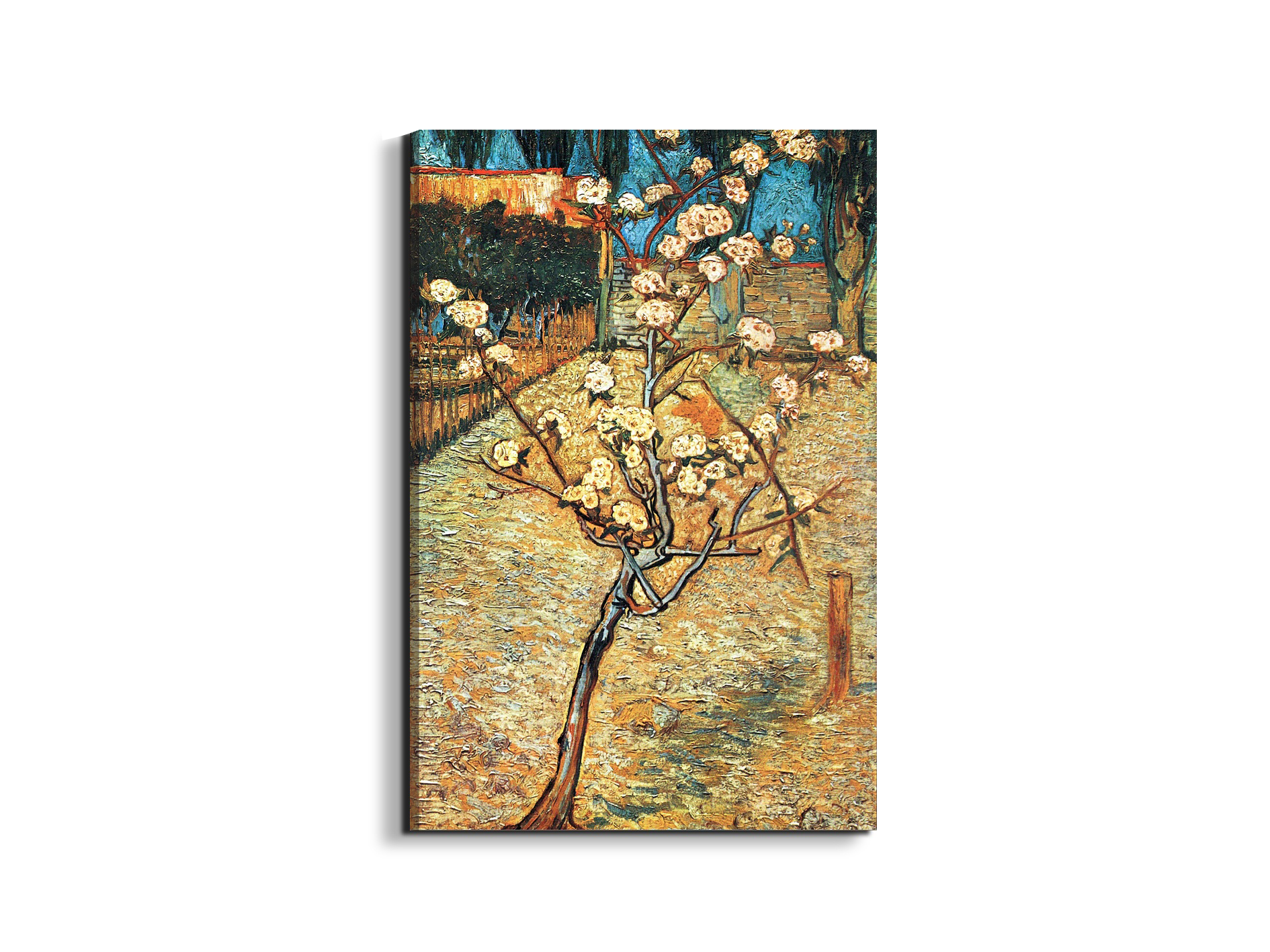 #materiale_EarthArt/dimensioni_53x79,5