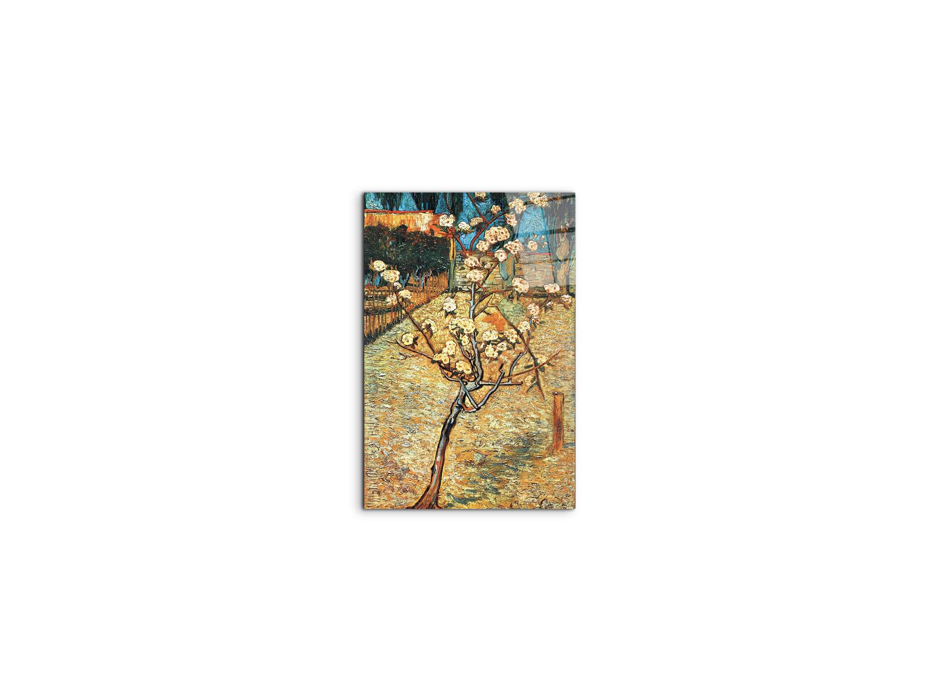 #materiale_CrystalArt/dimensioni_33,33x50