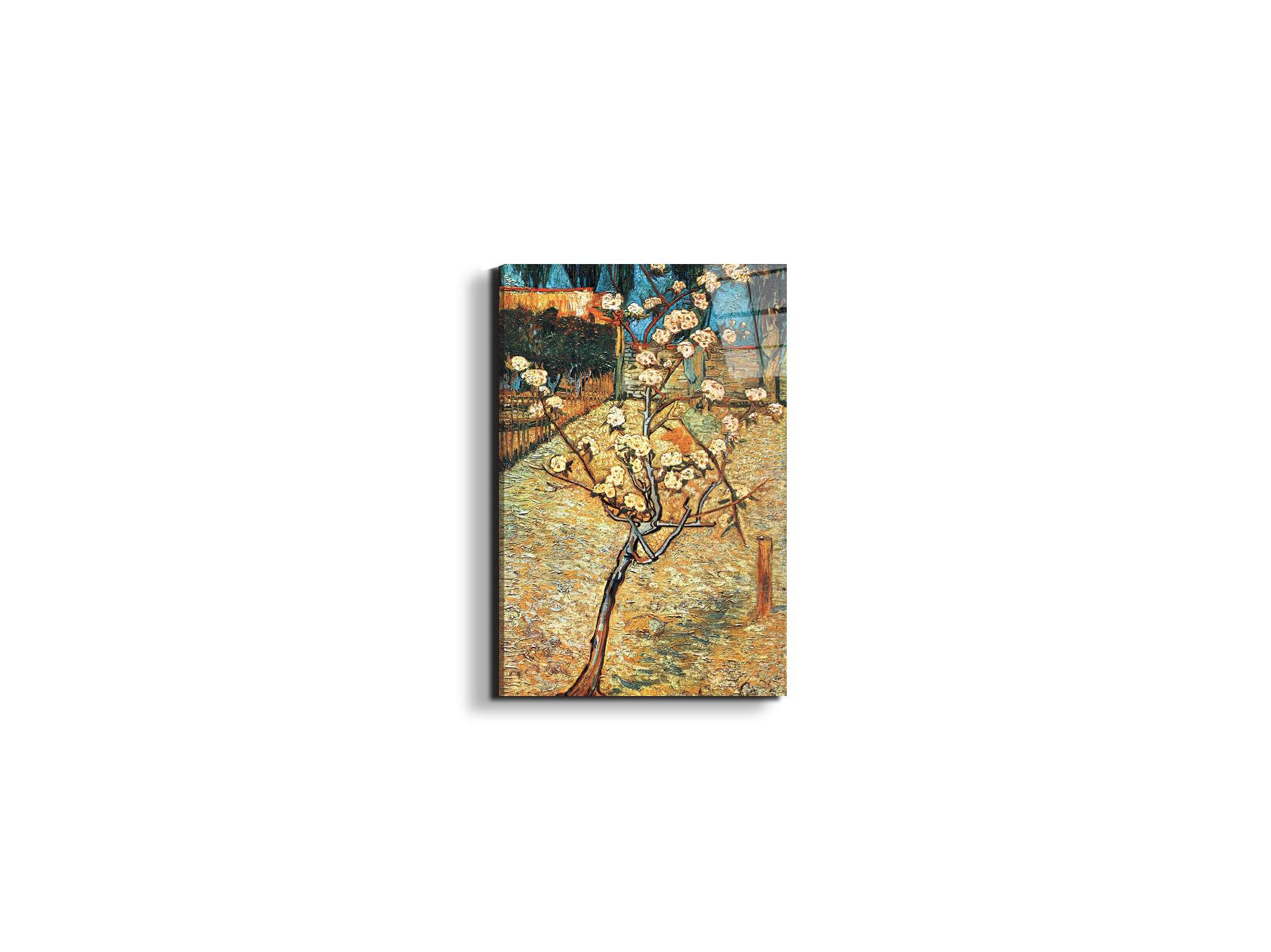 #materiale_EarthArt Total Gloss/dimensioni_33,33x50