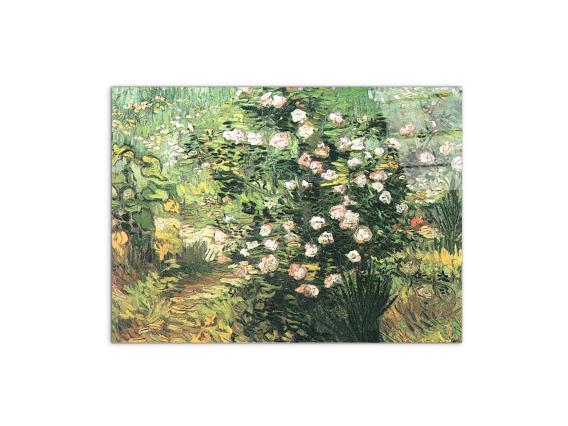 flowering-rosebushas91071-#materiale_CrystalArt/dimensioni_76x57