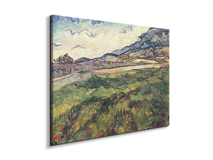 green-wheat-field-as91077-