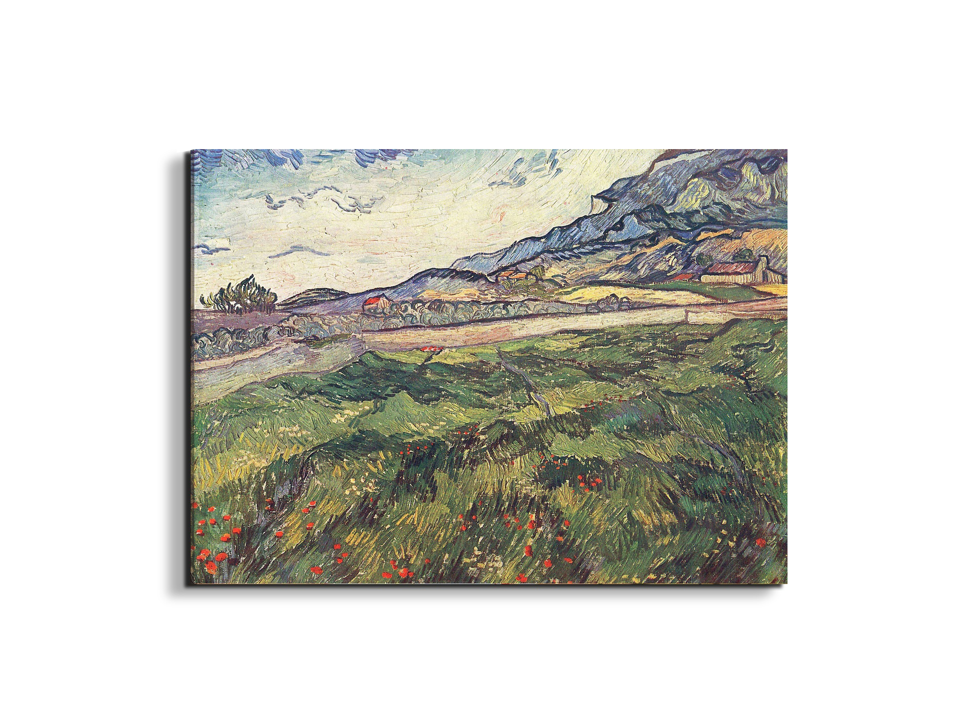 green-wheat-field-as91077-#materiale_EarthArt/dimensioni_76x57