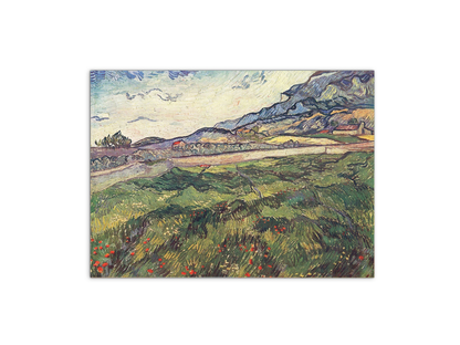 green-wheat-field-as91077-