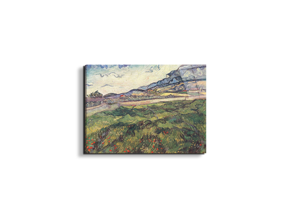 green-wheat-field-as91077-