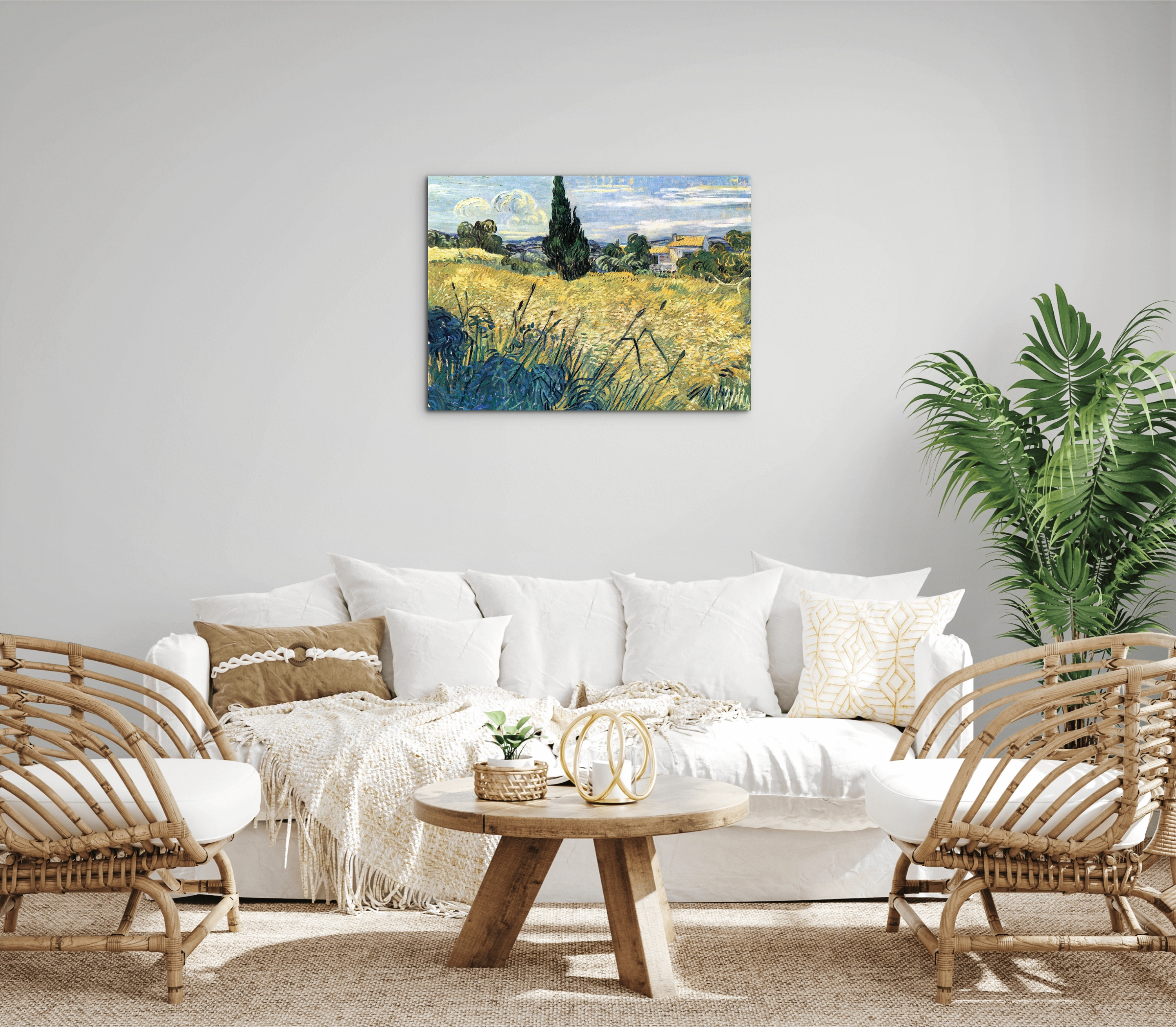 green-wheat-field-with-cypressas91079-