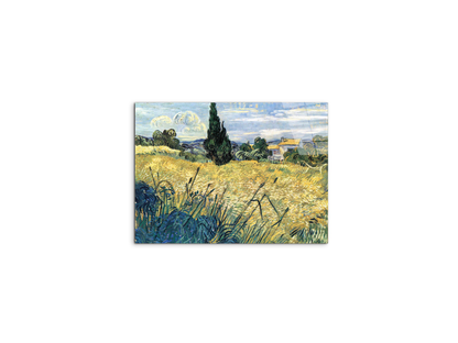 green-wheat-field-with-cypressas91079-