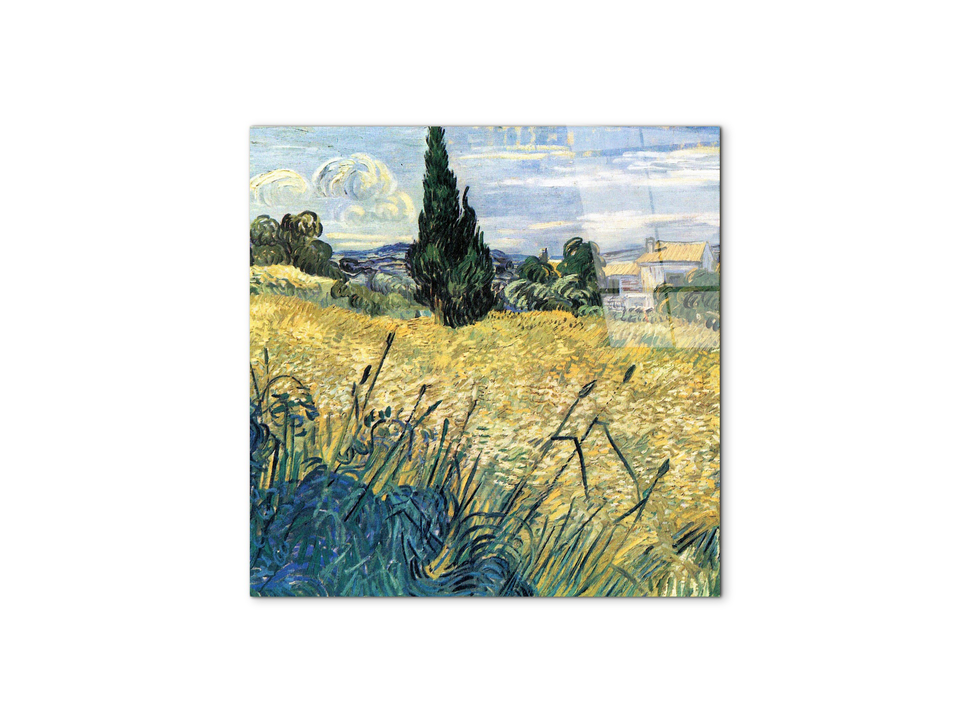 green-wheat-field-with-cypressas91081-#materiale_CrystalArt/dimensioni_58x58