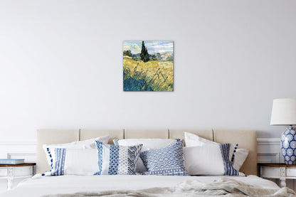 green-wheat-field-with-cypressas91081-