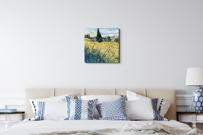 green-wheat-field-with-cypressas91081-