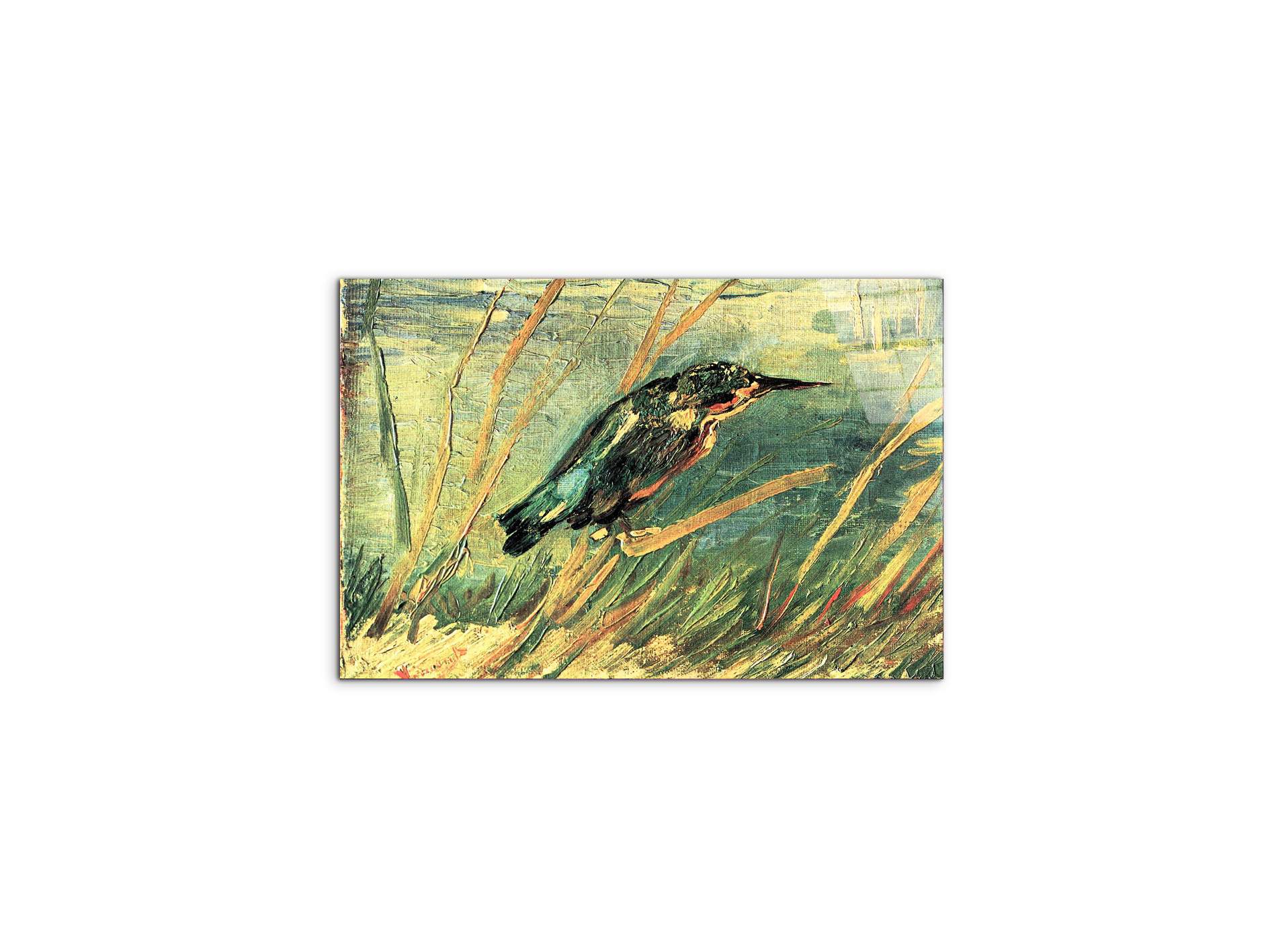 kingfisheras91103-#materiale_CrystalArt/dimensioni_50x33,33