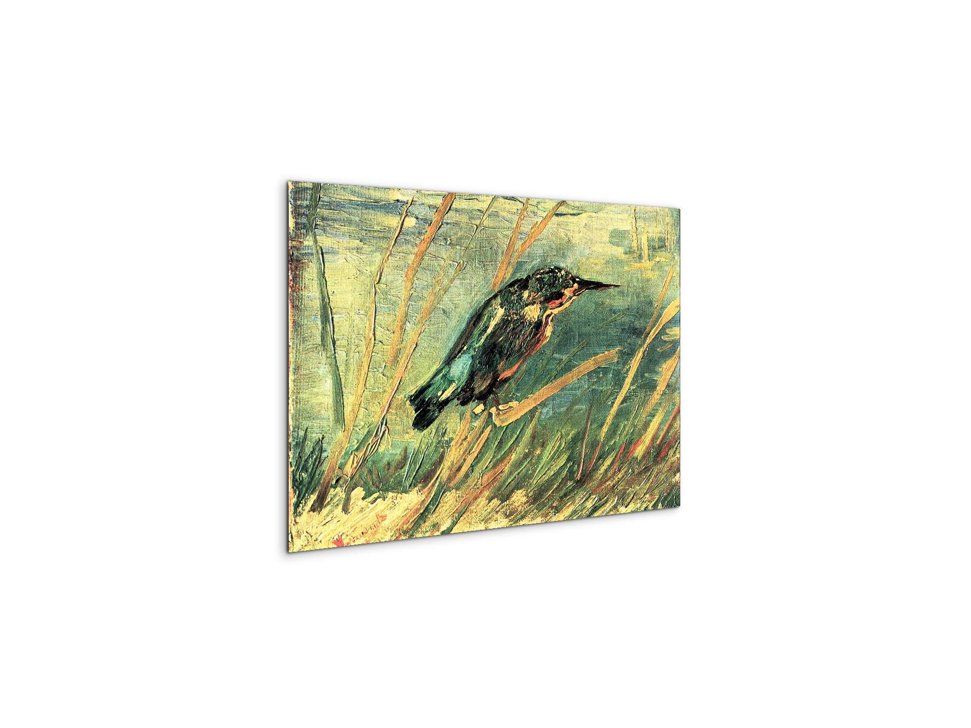 kingfisheras91103-#materiale_MetalArt Materic/dimensioni_50x33,33