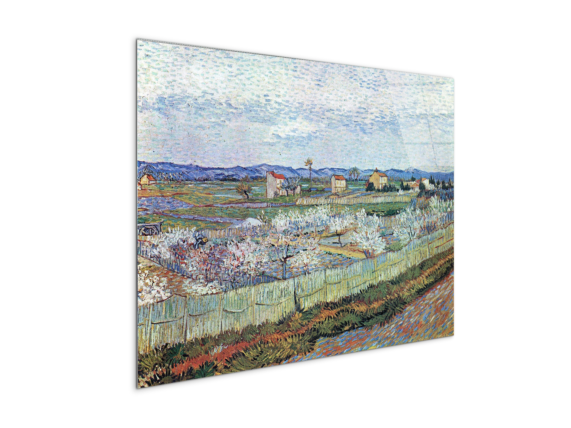 la-crau-near-arles-with-blossoming-peach-treesas91109-#materiale_CrystalArt/dimensioni_76x57