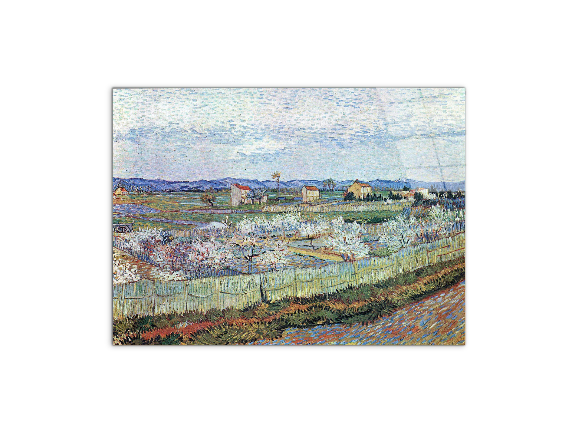 la-crau-near-arles-with-blossoming-peach-treesas91109-#materiale_CrystalArt/dimensioni_76x57