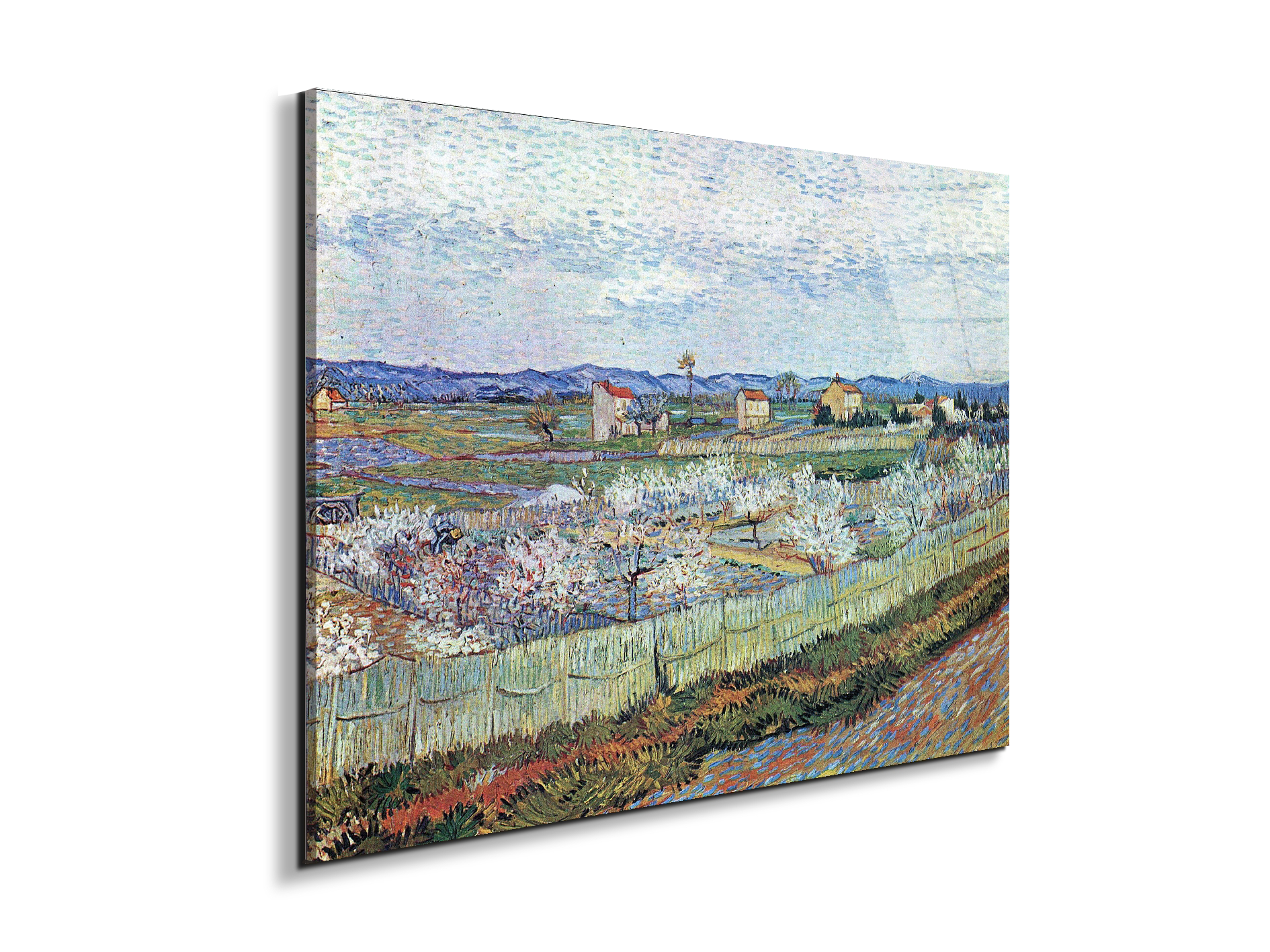 la-crau-near-arles-with-blossoming-peach-treesas91109-#materiale_EarthArt Total Gloss/dimensioni_76x57