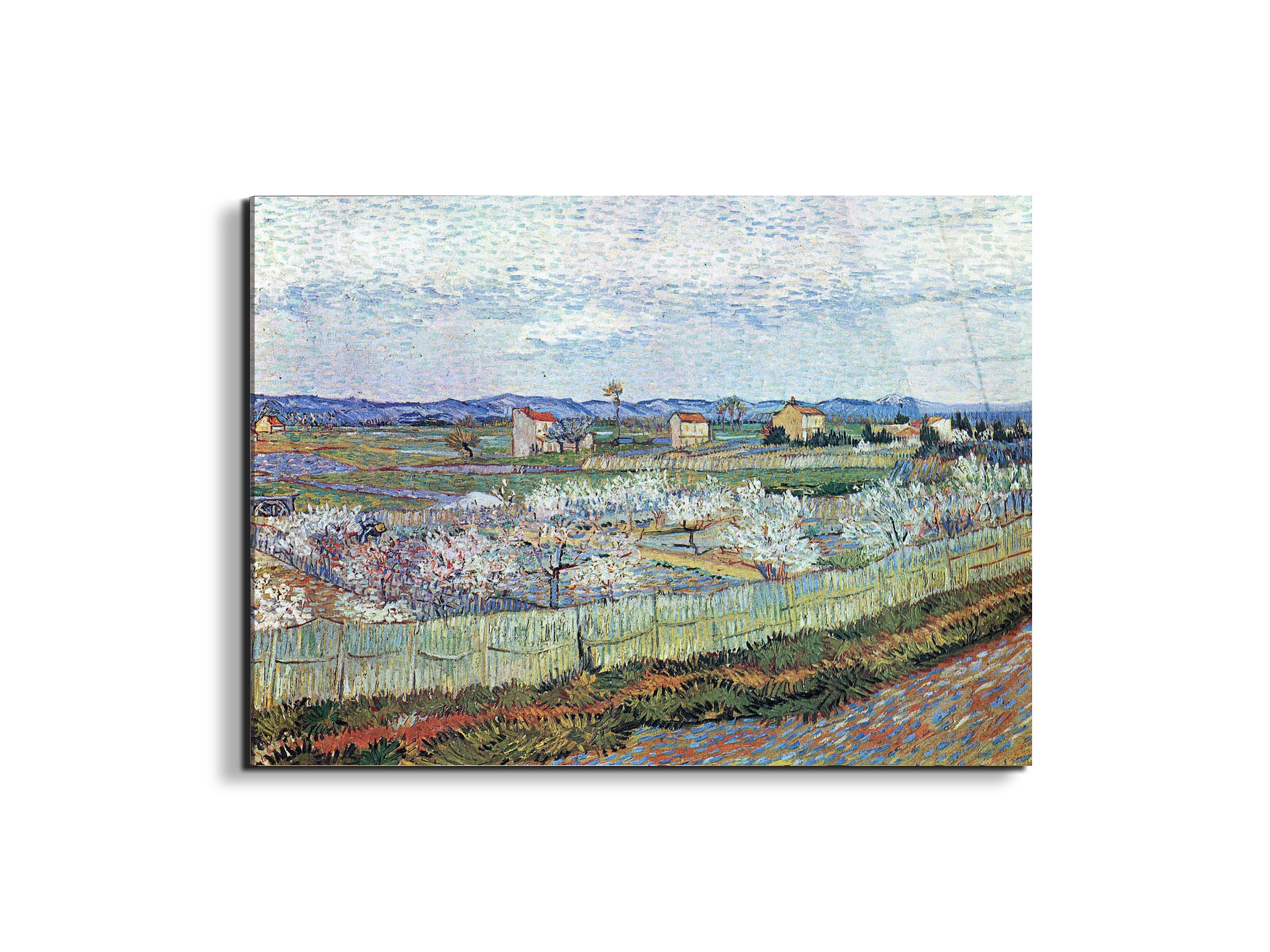 la-crau-near-arles-with-blossoming-peach-treesas91109-#materiale_EarthArt Total Gloss/dimensioni_76x57