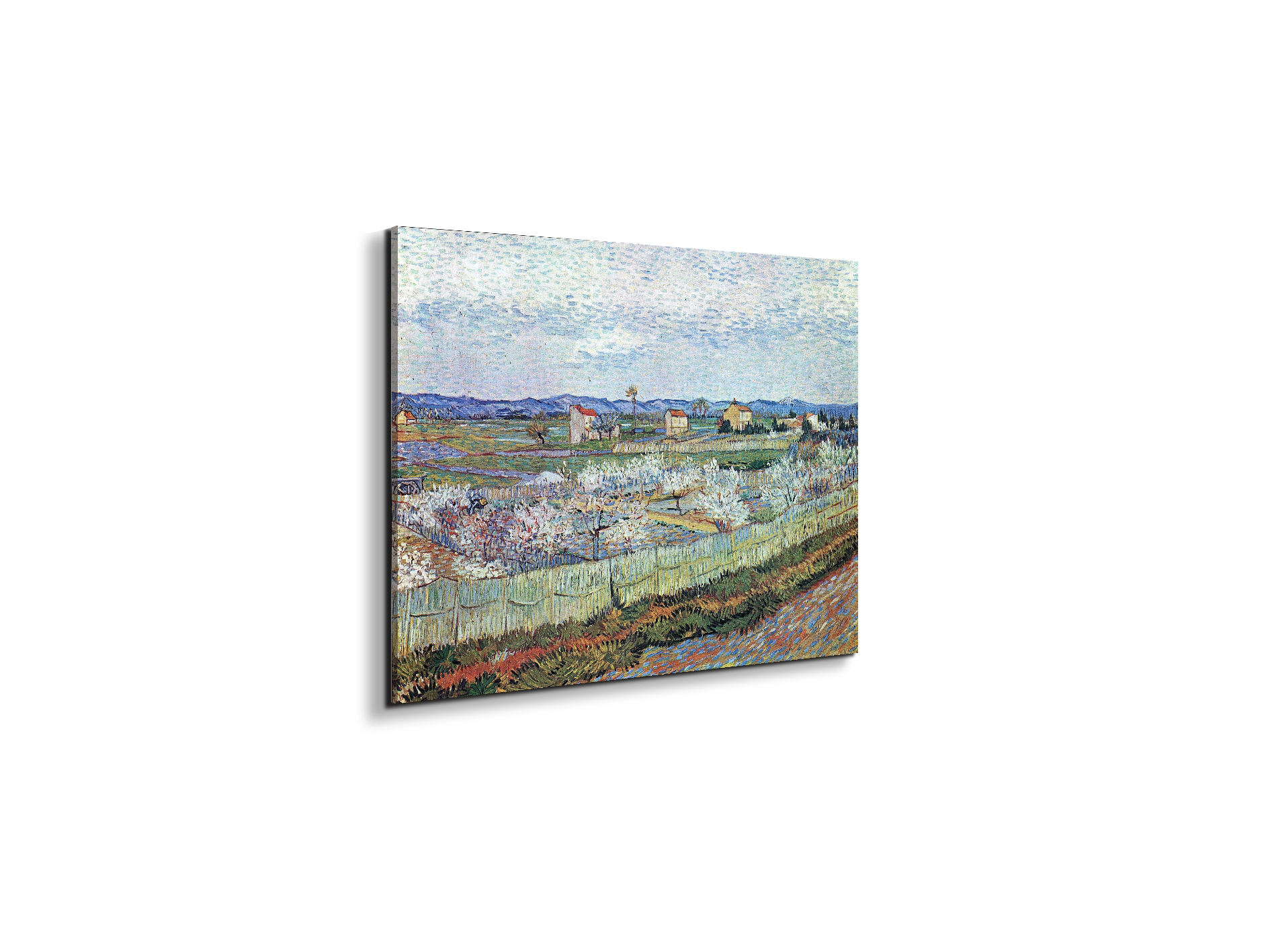 la-crau-near-arles-with-blossoming-peach-treesas91109-#materiale_EarthArt/dimensioni_50x37,50
