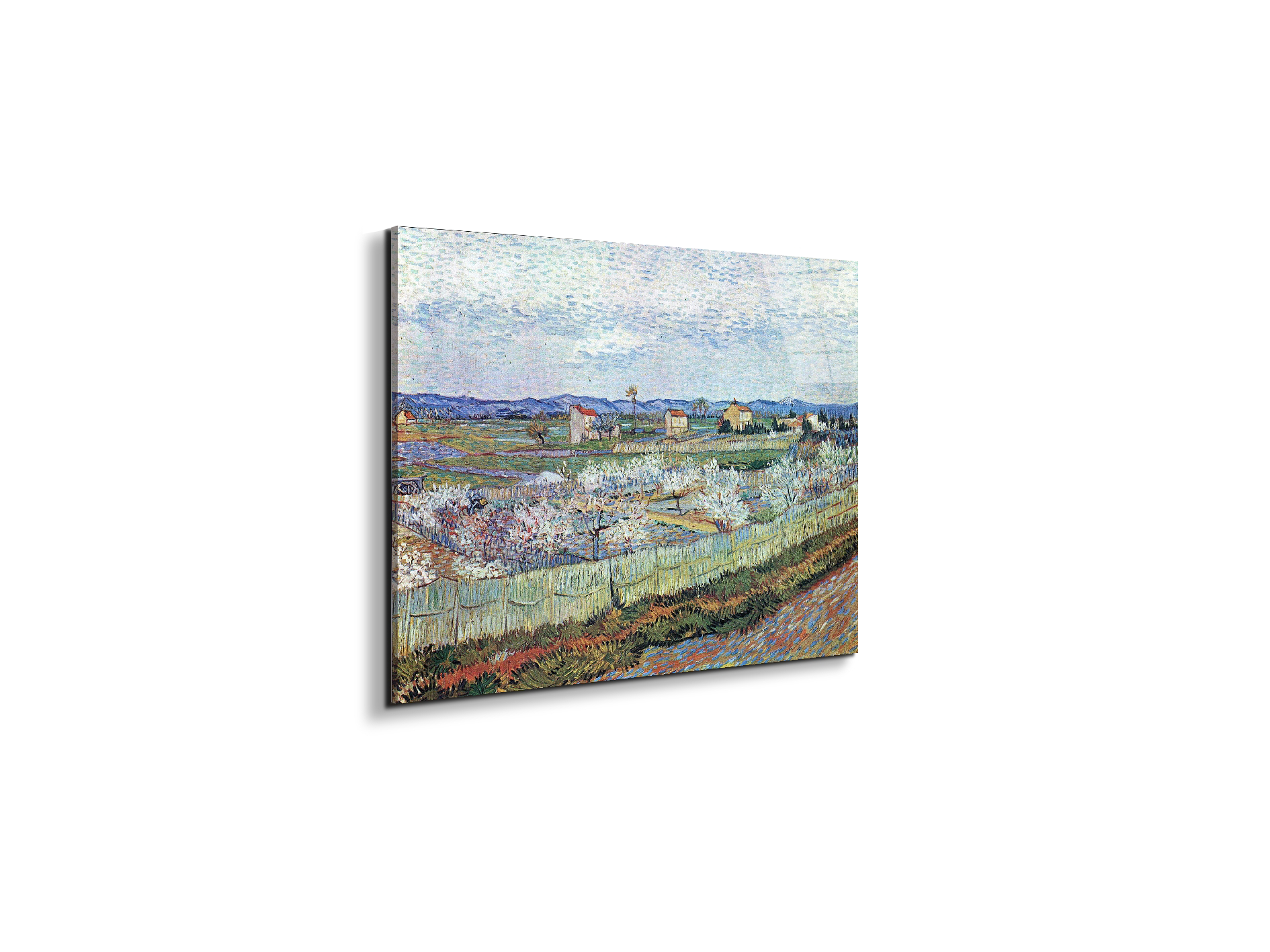 la-crau-near-arles-with-blossoming-peach-treesas91109-#materiale_EarthArt Total Gloss/dimensioni_50x37,50