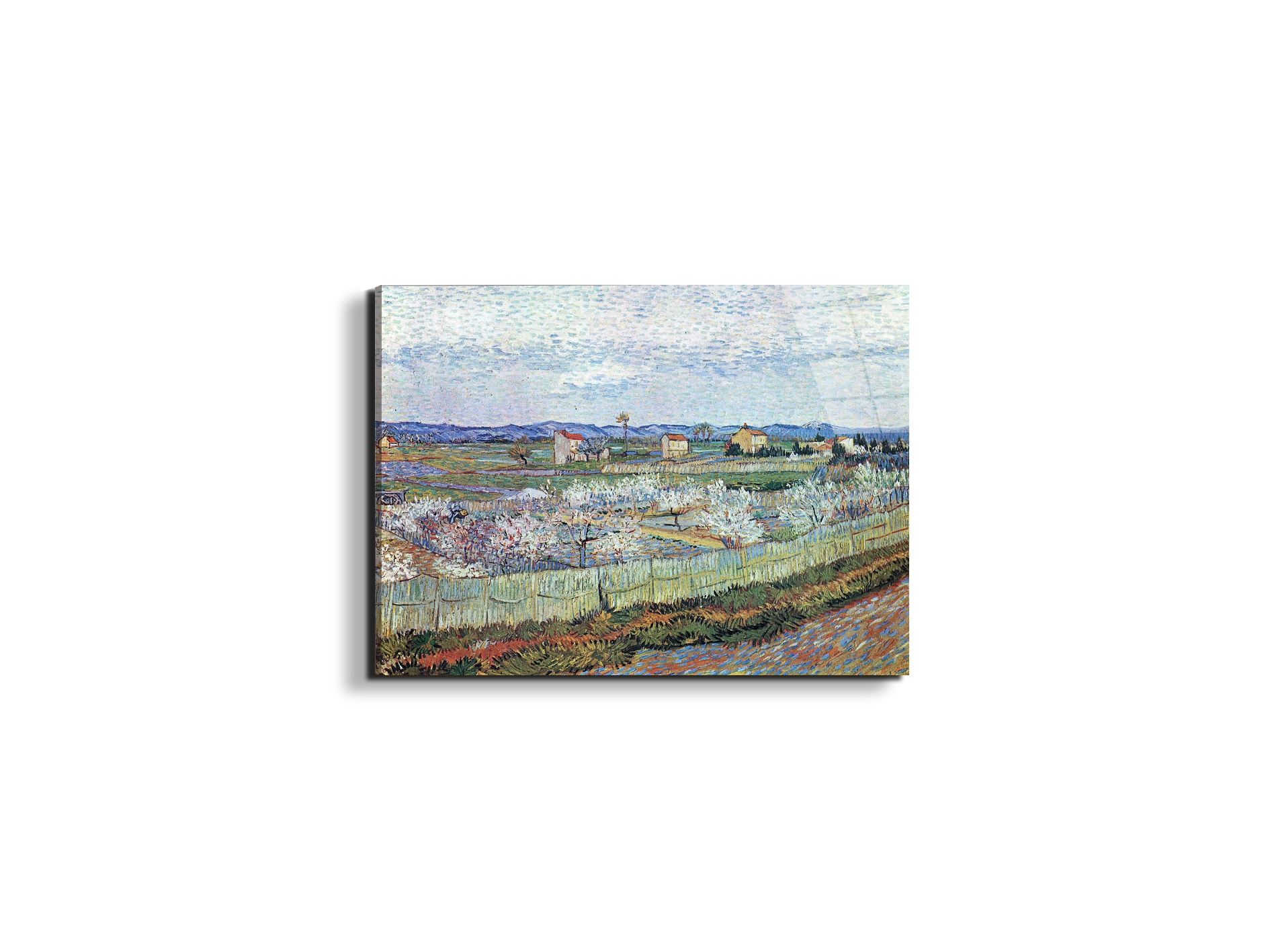 la-crau-near-arles-with-blossoming-peach-treesas91109-#materiale_EarthArt Total Gloss/dimensioni_50x37,50
