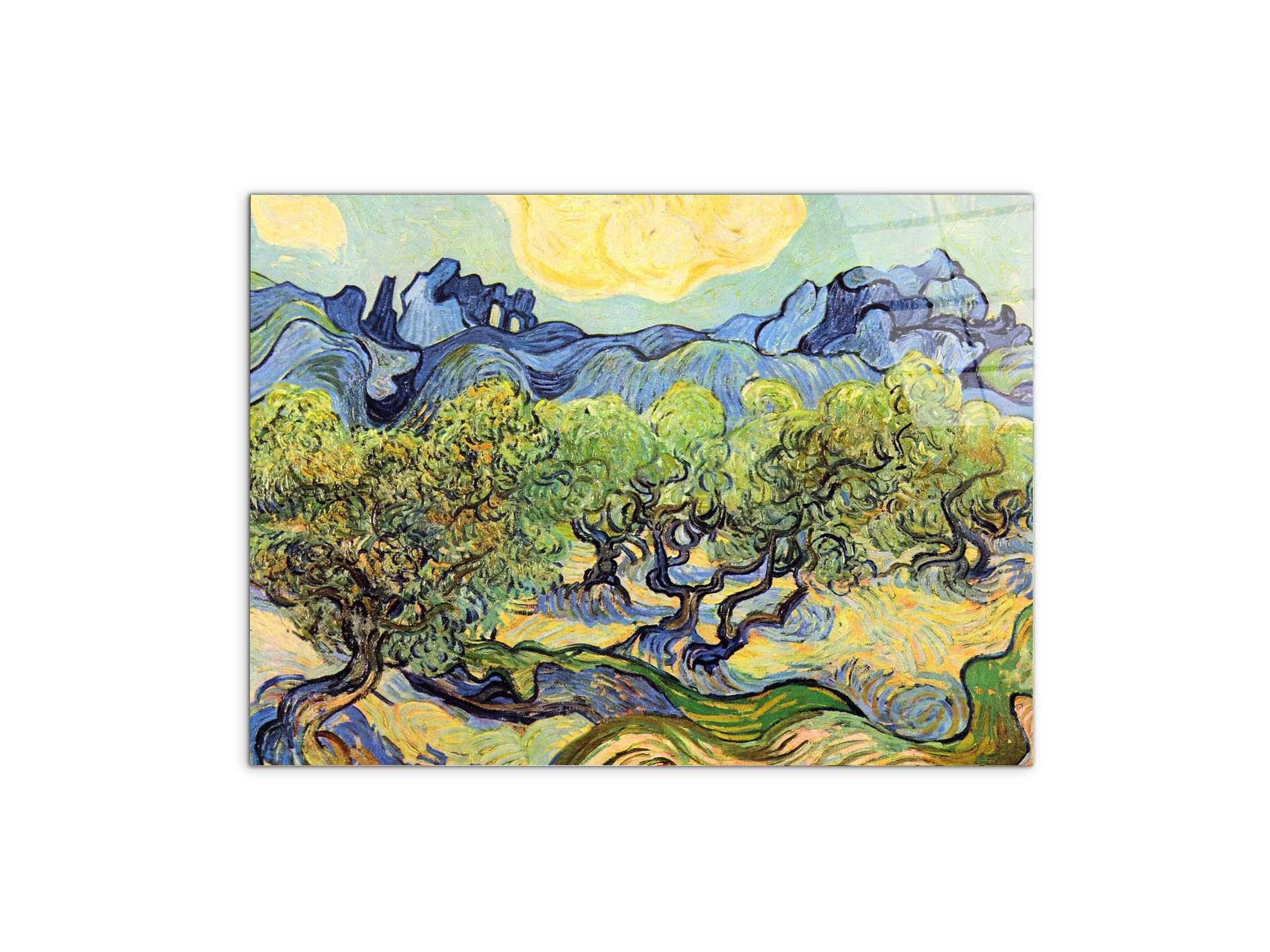 landscape-with-olive-treesas91119-#materiale_CrystalArt/dimensioni_76x57