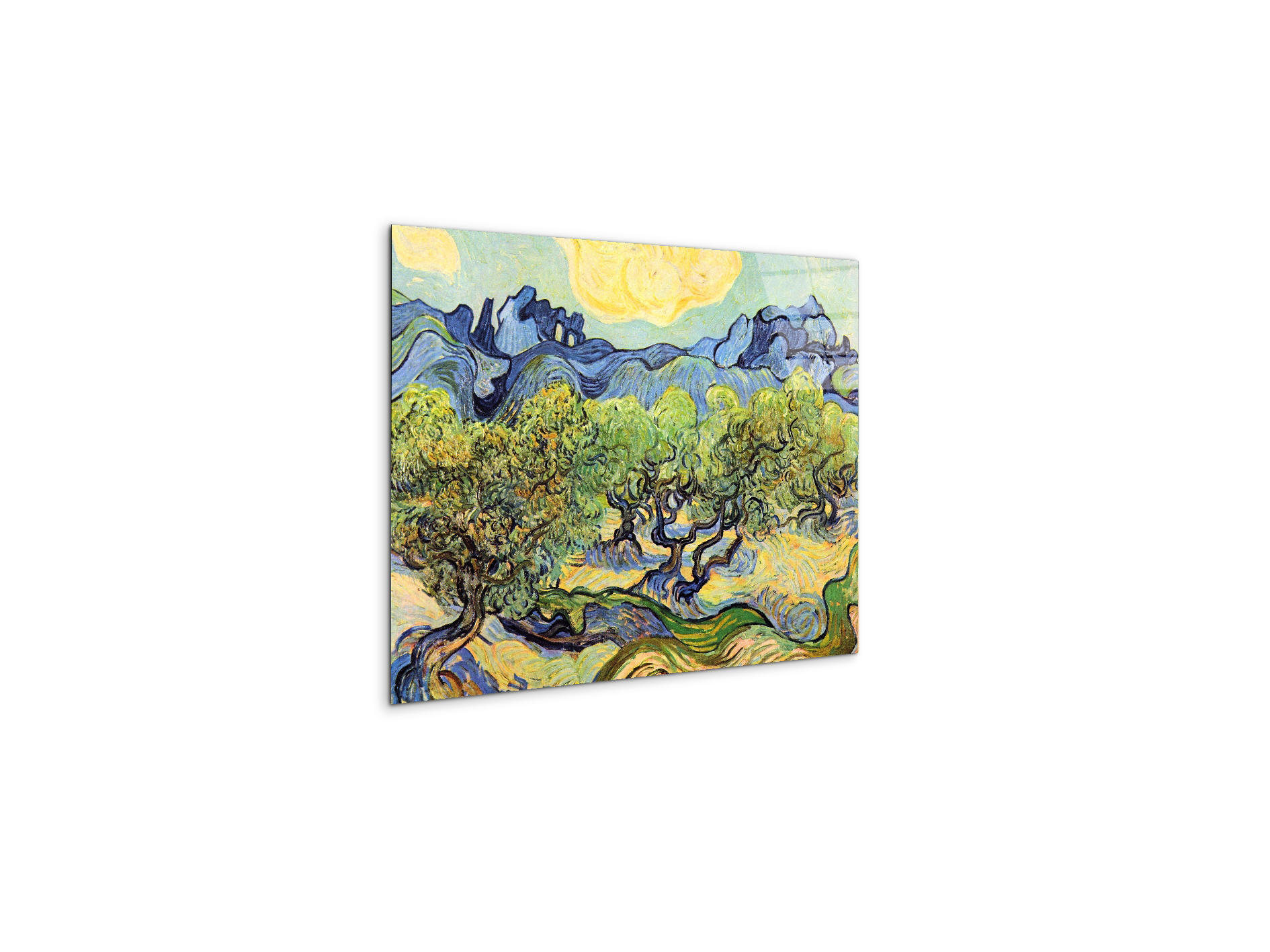 landscape-with-olive-treesas91119-#materiale_CrystalArt/dimensioni_50x37,50