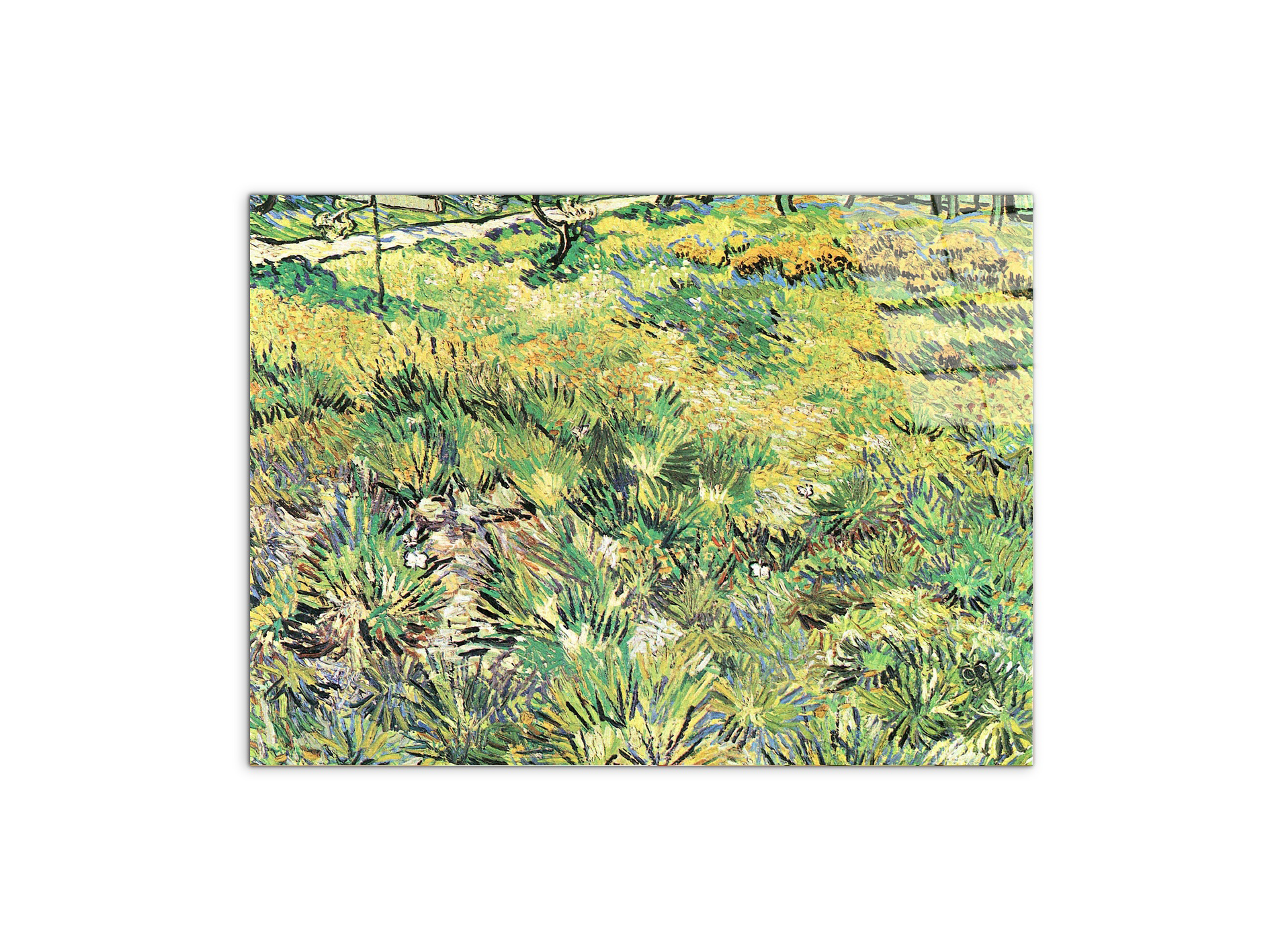 meadow-in-the-garden-of-saint-paul-hospitalas91143-#materiale_CrystalArt/dimensioni_76x57