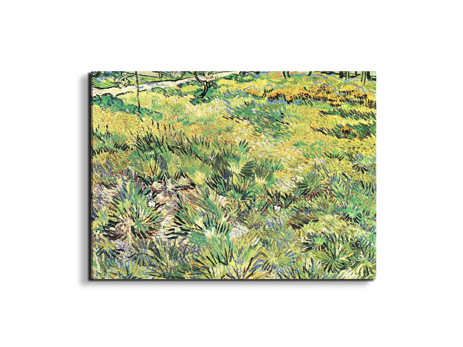meadow-in-the-garden-of-saint-paul-hospitalas91143-#materiale_EarthArt/dimensioni_76x57