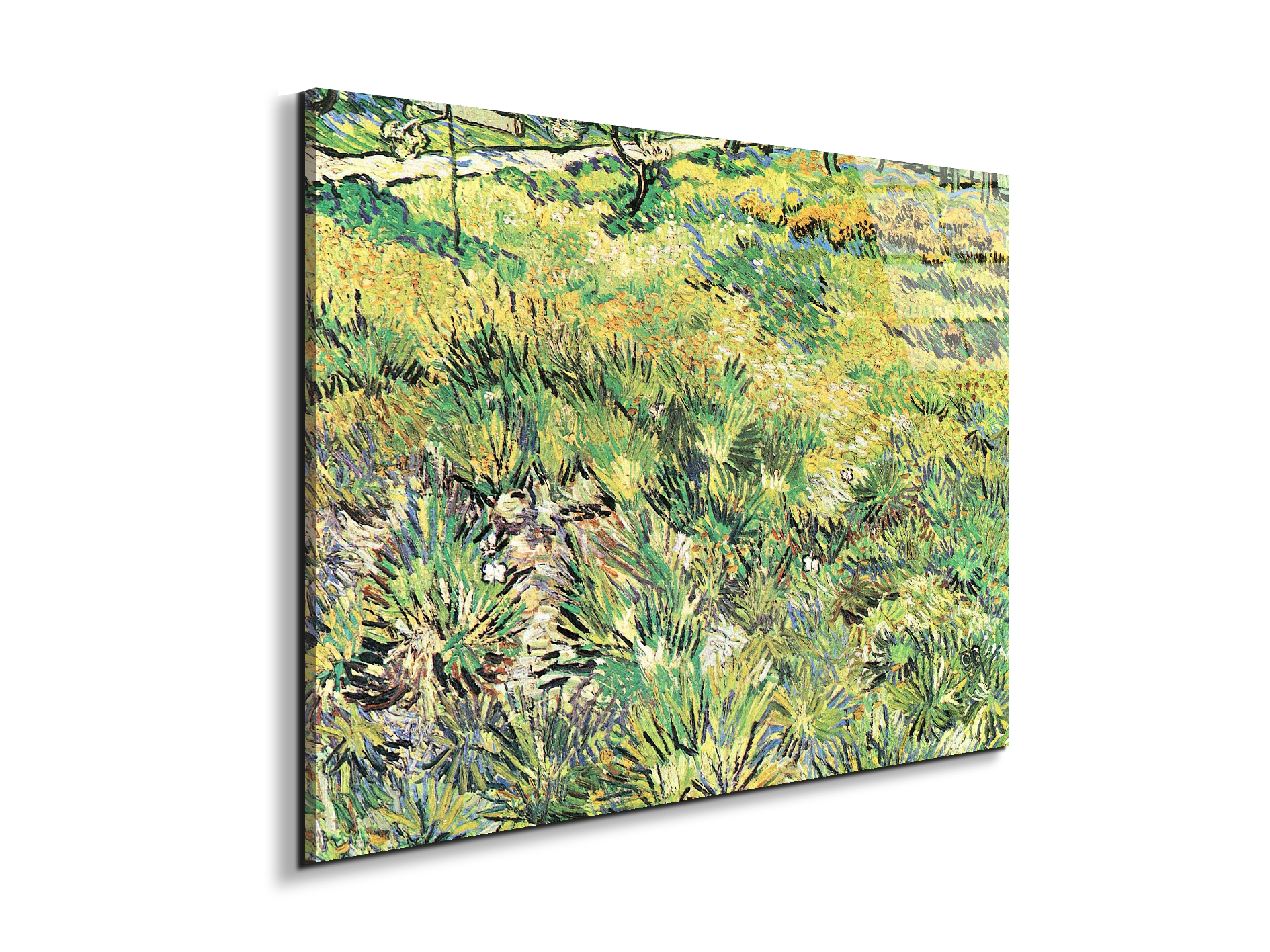 meadow-in-the-garden-of-saint-paul-hospitalas91143-#materiale_EarthArt Total Gloss/dimensioni_76x57