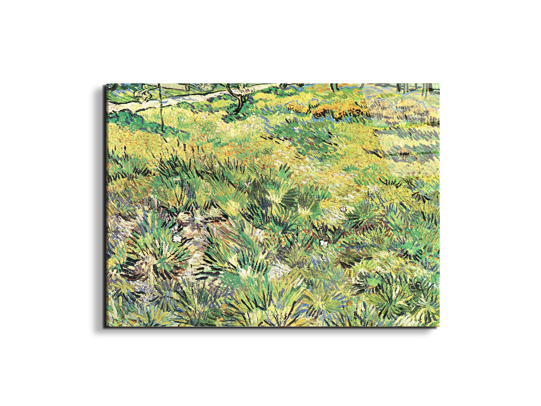 meadow-in-the-garden-of-saint-paul-hospitalas91143-#materiale_EarthArt Total Gloss/dimensioni_76x57