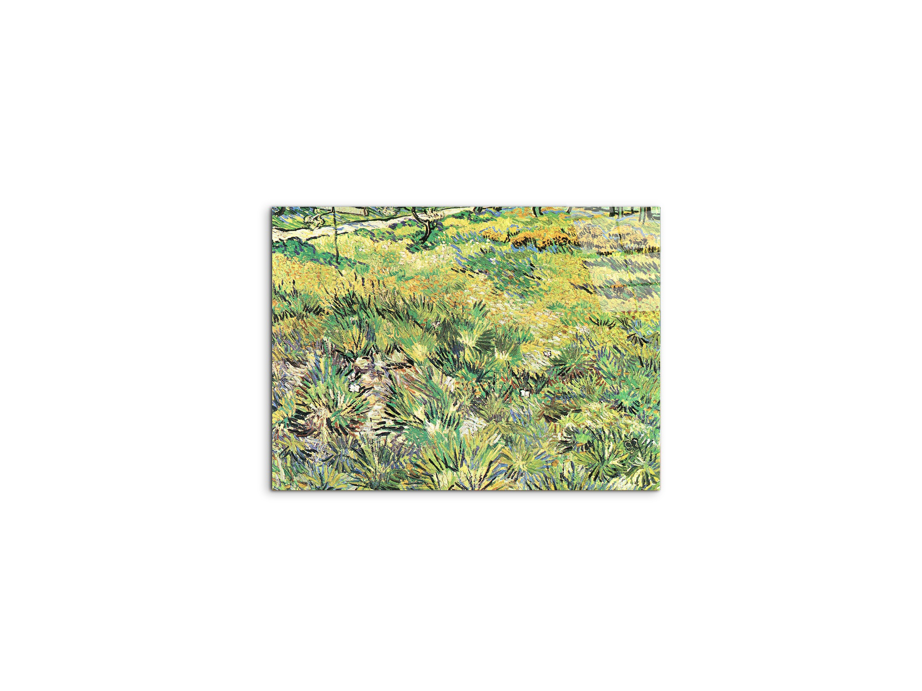meadow-in-the-garden-of-saint-paul-hospitalas91143-#materiale_CrystalArt/dimensioni_50x37,50