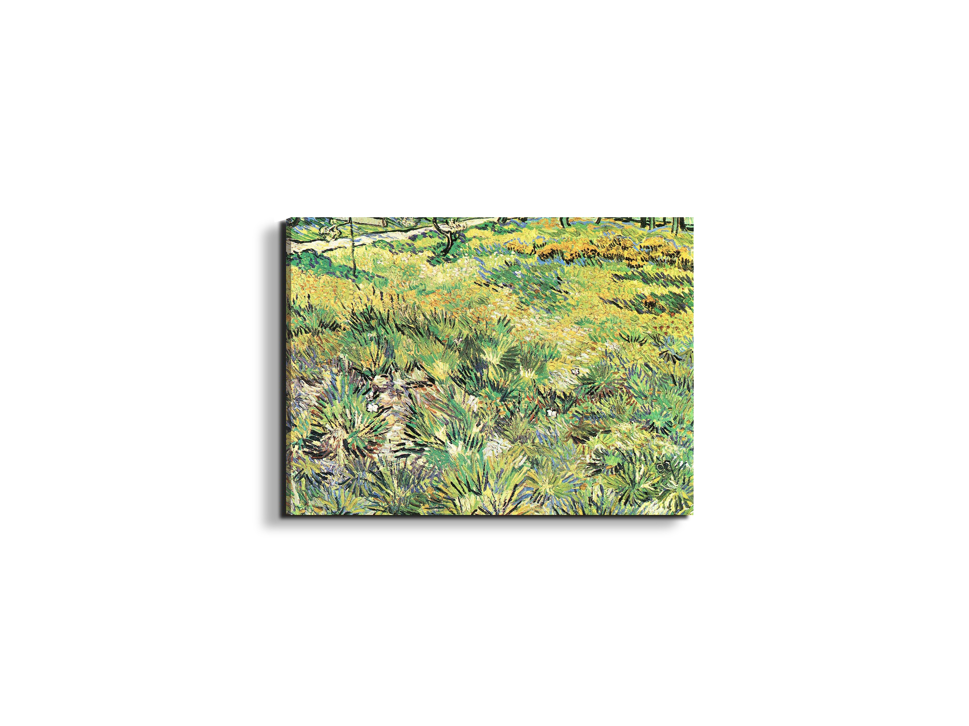 meadow-in-the-garden-of-saint-paul-hospitalas91143-#materiale_EarthArt/dimensioni_50x37,50