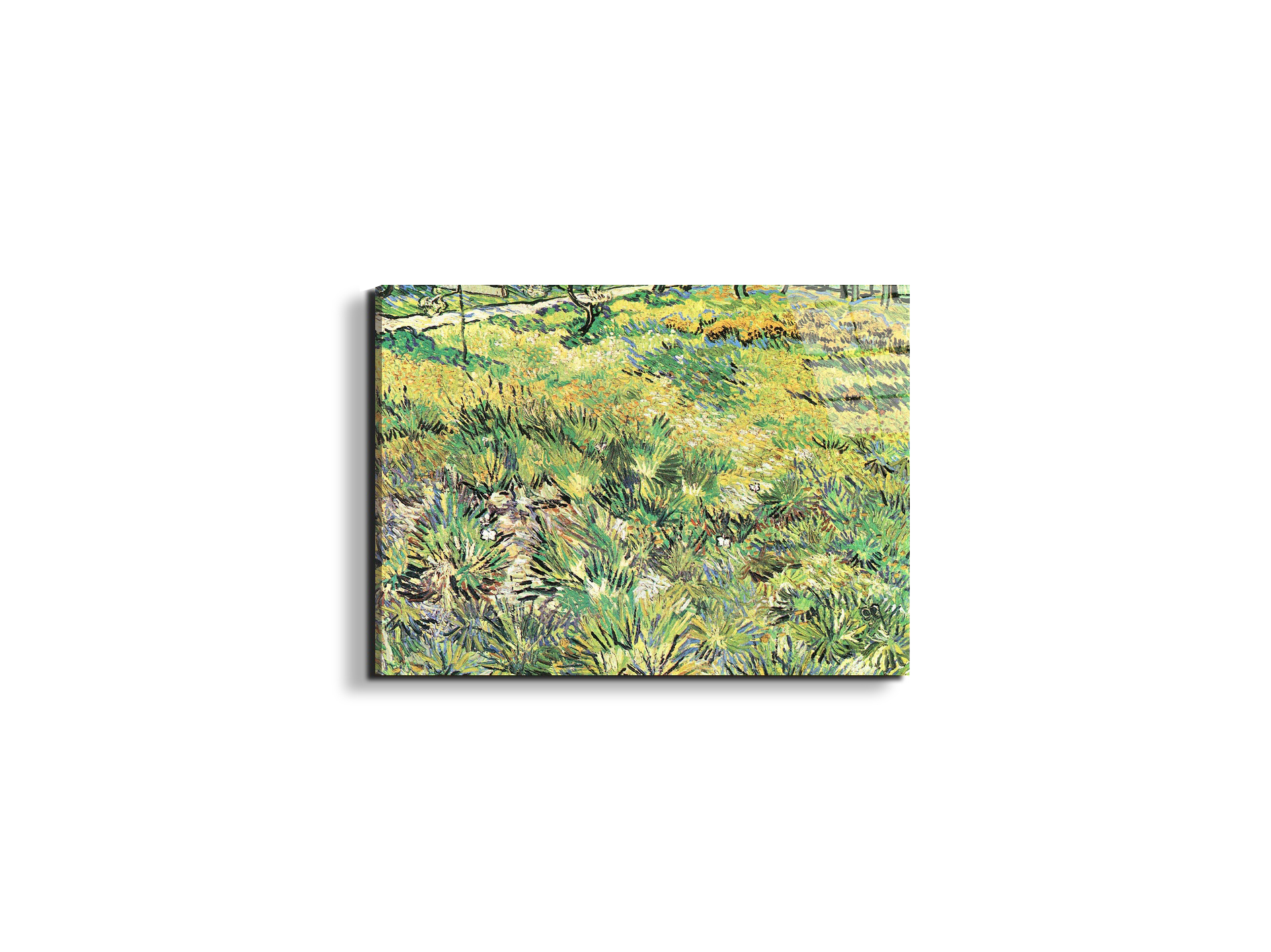 meadow-in-the-garden-of-saint-paul-hospitalas91143-#materiale_EarthArt Total Gloss/dimensioni_50x37,50