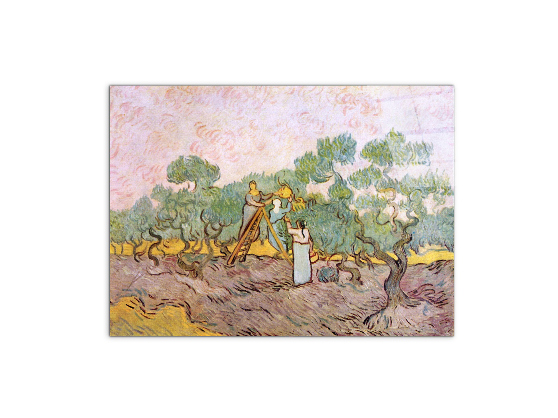 olive-pickersas91153-#materiale_CrystalArt/dimensioni_76x57