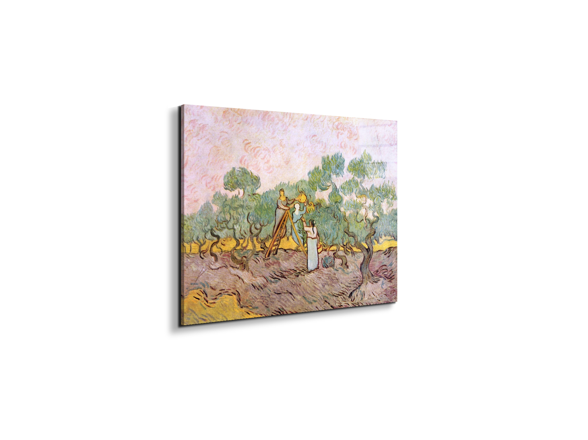 olive-pickersas91153-#materiale_EarthArt Total Gloss/dimensioni_50x37,50