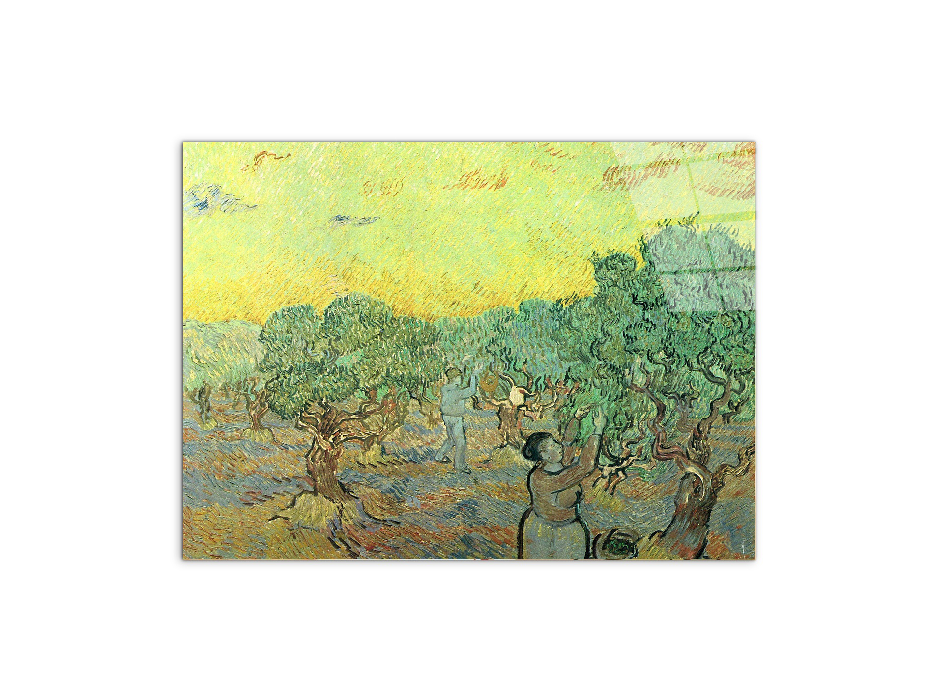 olive-pickers-in-a-groveas91155-#materiale_CrystalArt/dimensioni_76x57
