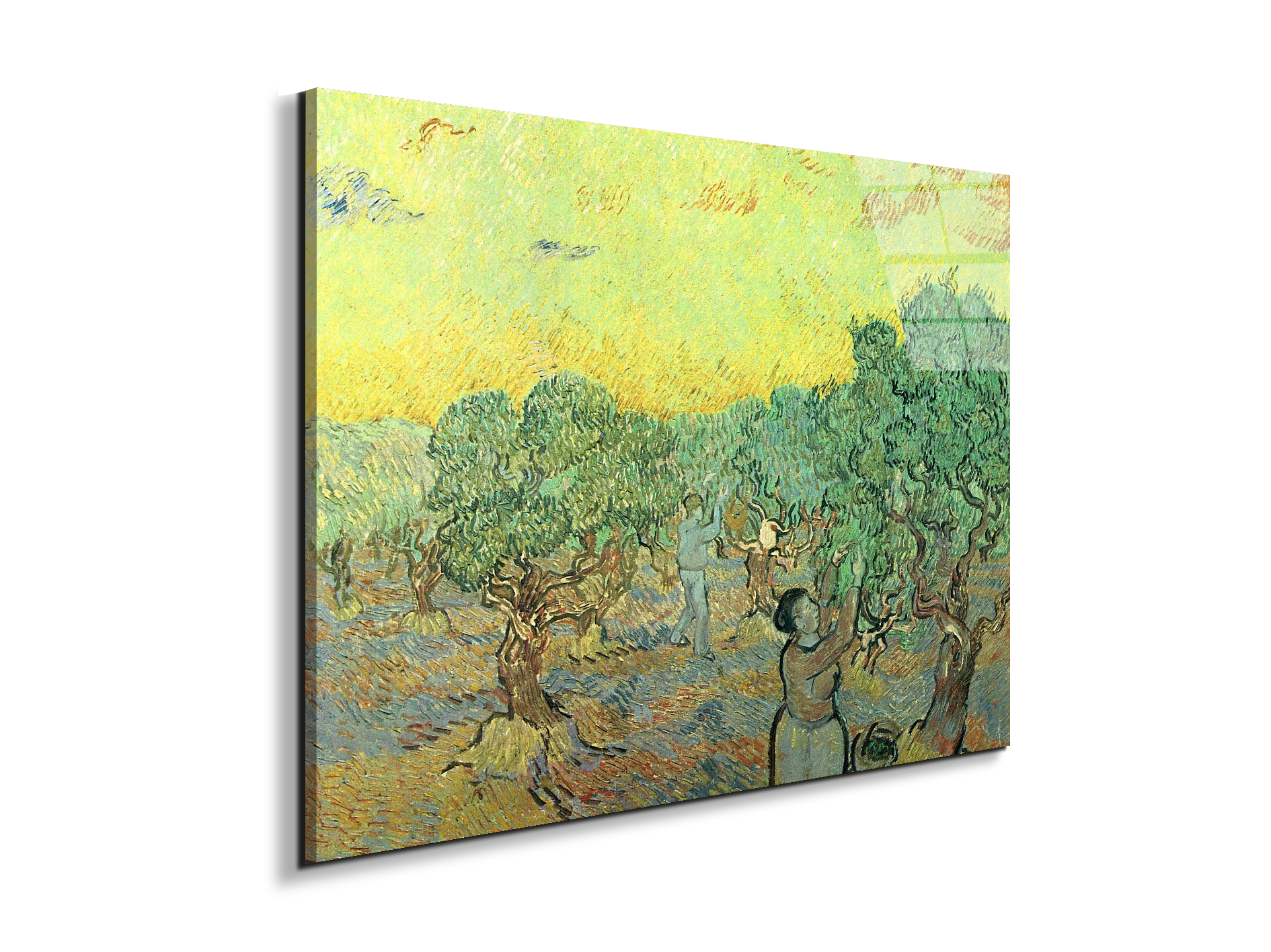 olive-pickers-in-a-groveas91155-#materiale_EarthArt Total Gloss/dimensioni_76x57