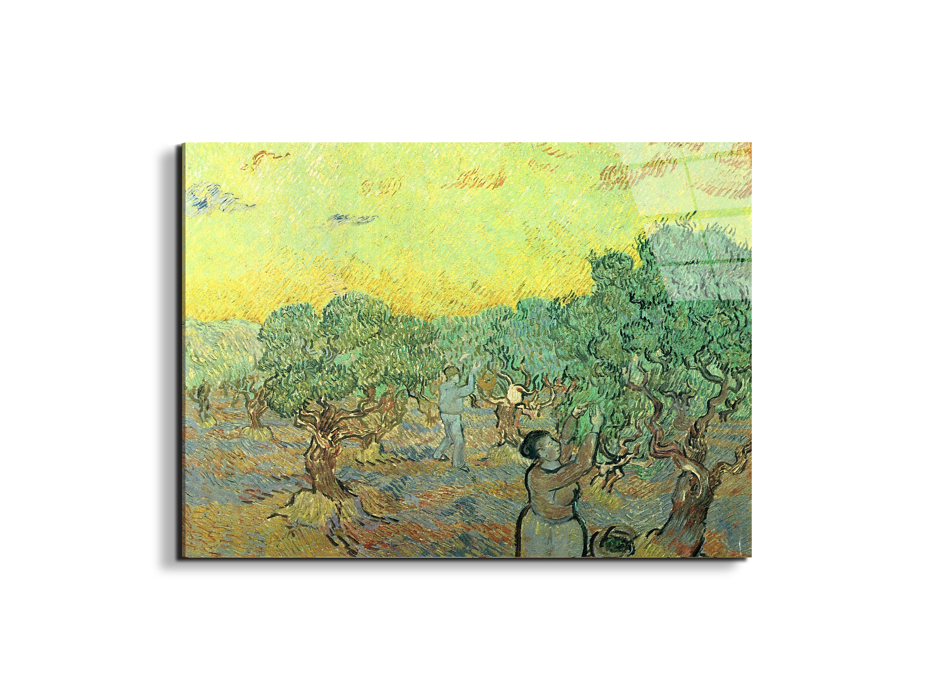 olive-pickers-in-a-groveas91155-#materiale_EarthArt Total Gloss/dimensioni_76x57