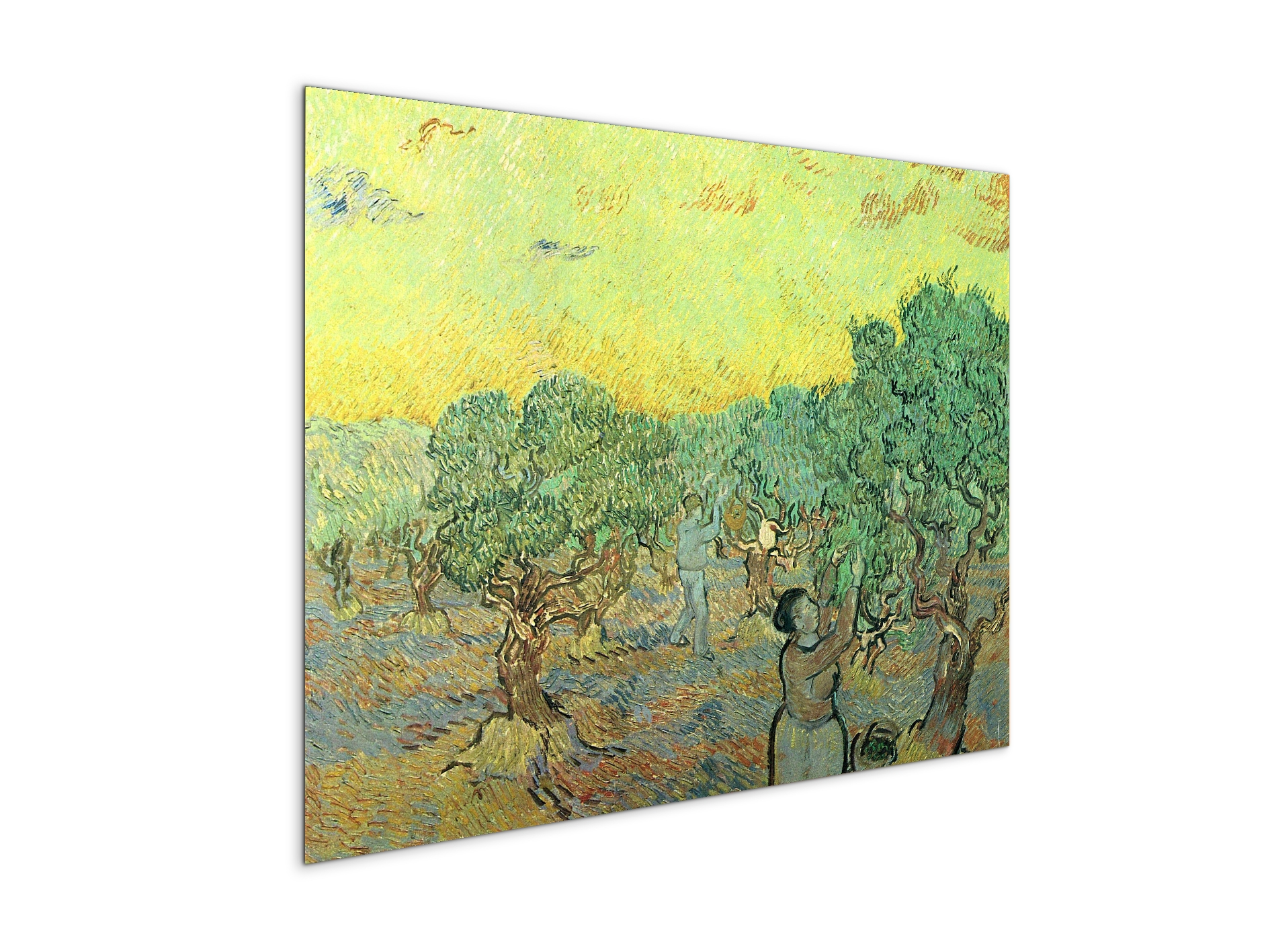 olive-pickers-in-a-groveas91155-#materiale_MetalArt Materic/dimensioni_76x57