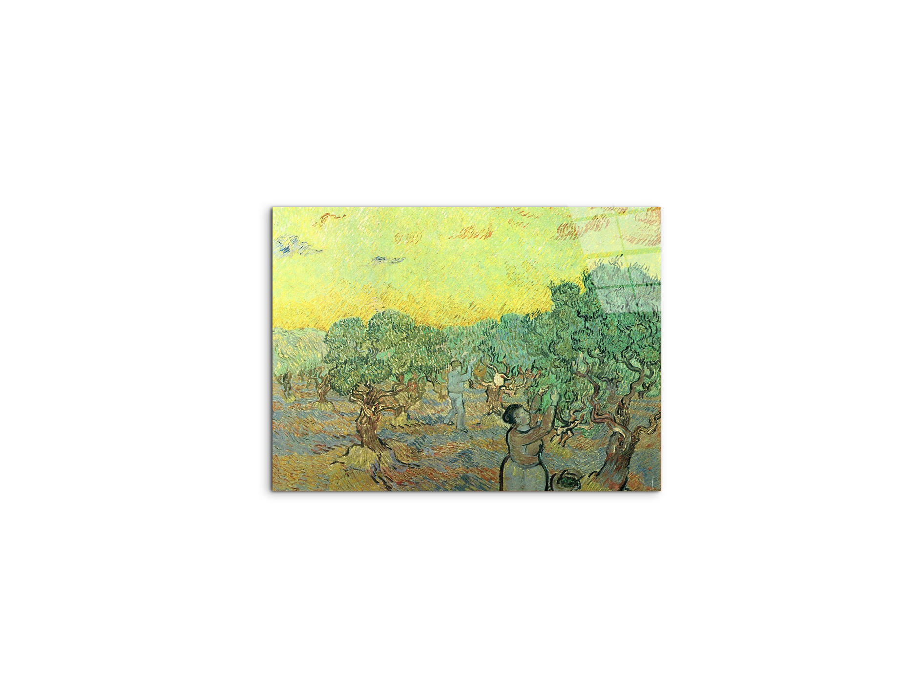 olive-pickers-in-a-groveas91155-#materiale_CrystalArt/dimensioni_50x37,50