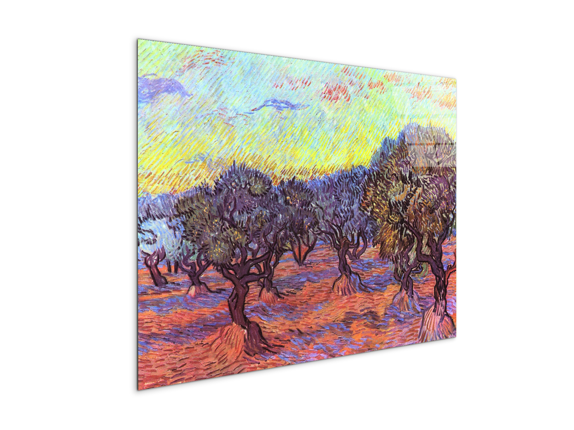 olive-trees-iias91157-#materiale_CrystalArt/dimensioni_76x57