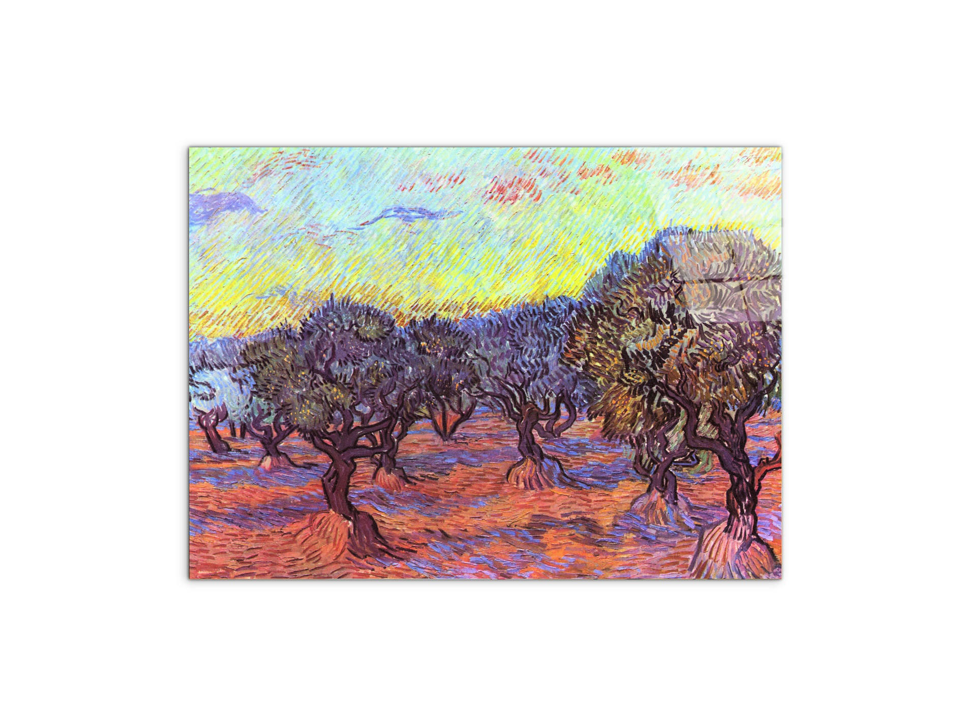 olive-trees-iias91157-#materiale_CrystalArt/dimensioni_76x57