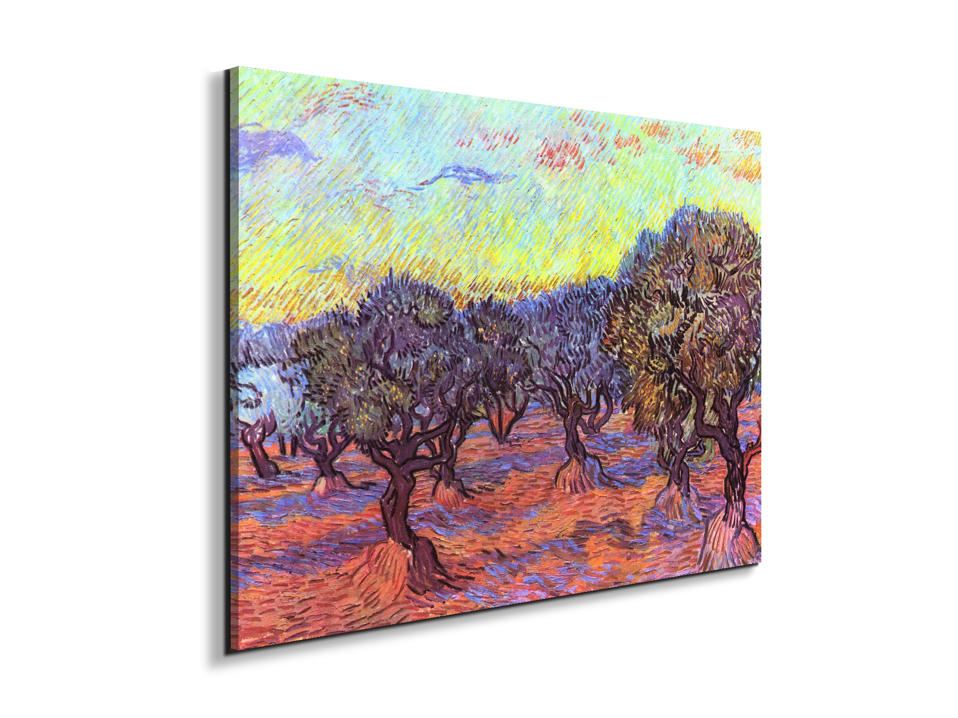 olive-trees-iias91157-#materiale_EarthArt/dimensioni_76x57