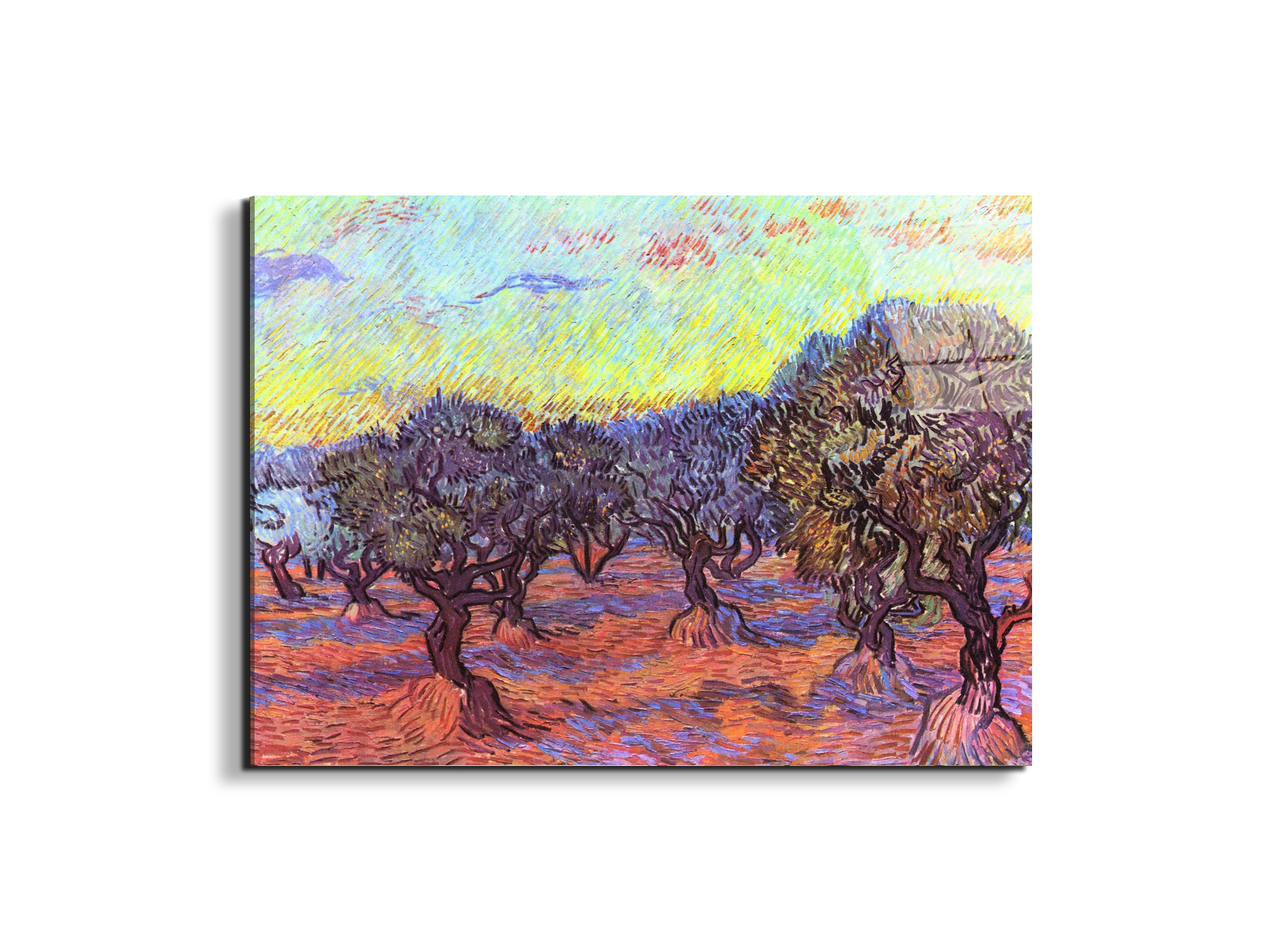 olive-trees-iias91157-#materiale_EarthArt Total Gloss/dimensioni_76x57