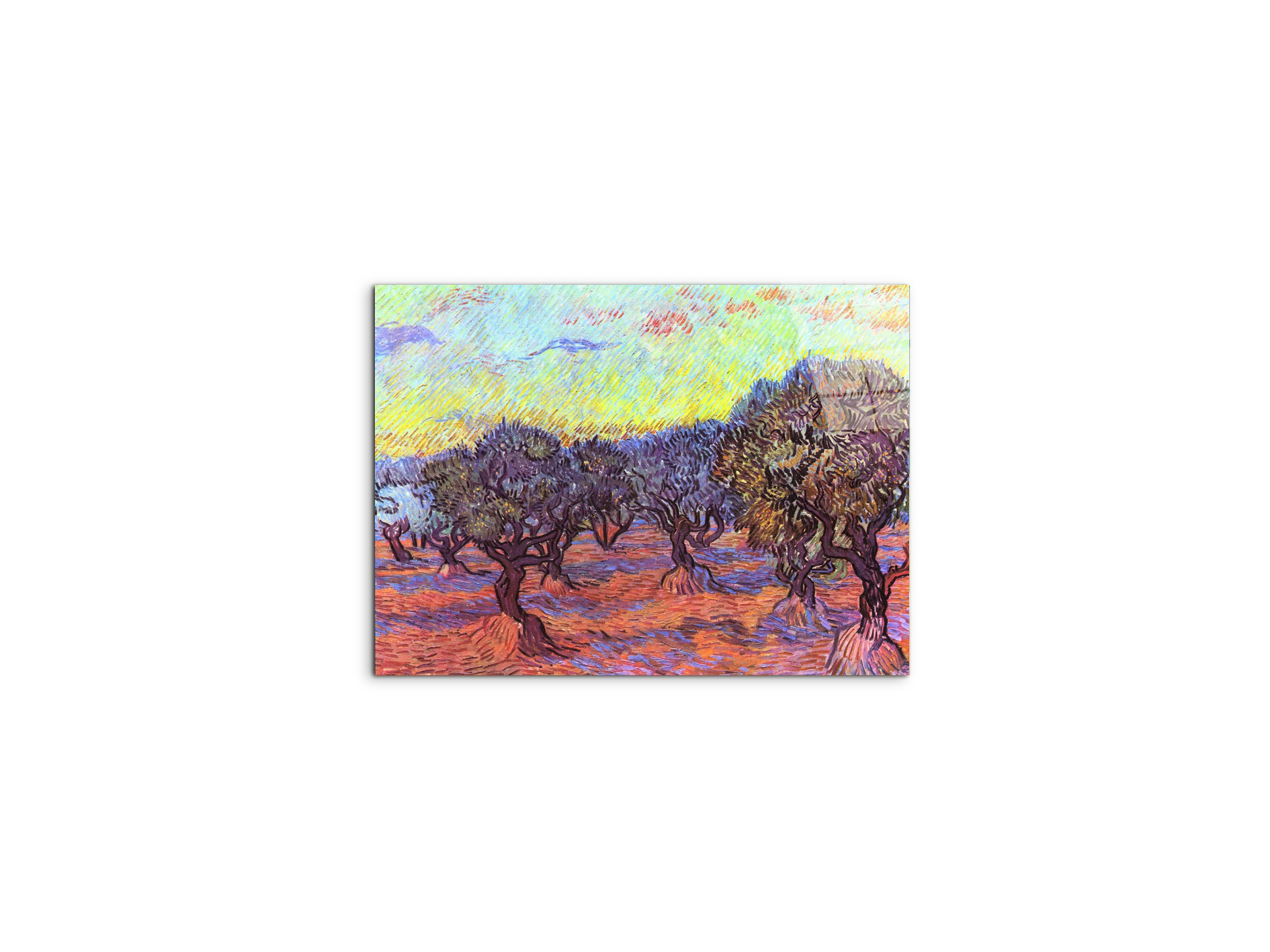 olive-trees-iias91157-#materiale_CrystalArt/dimensioni_50x37,50