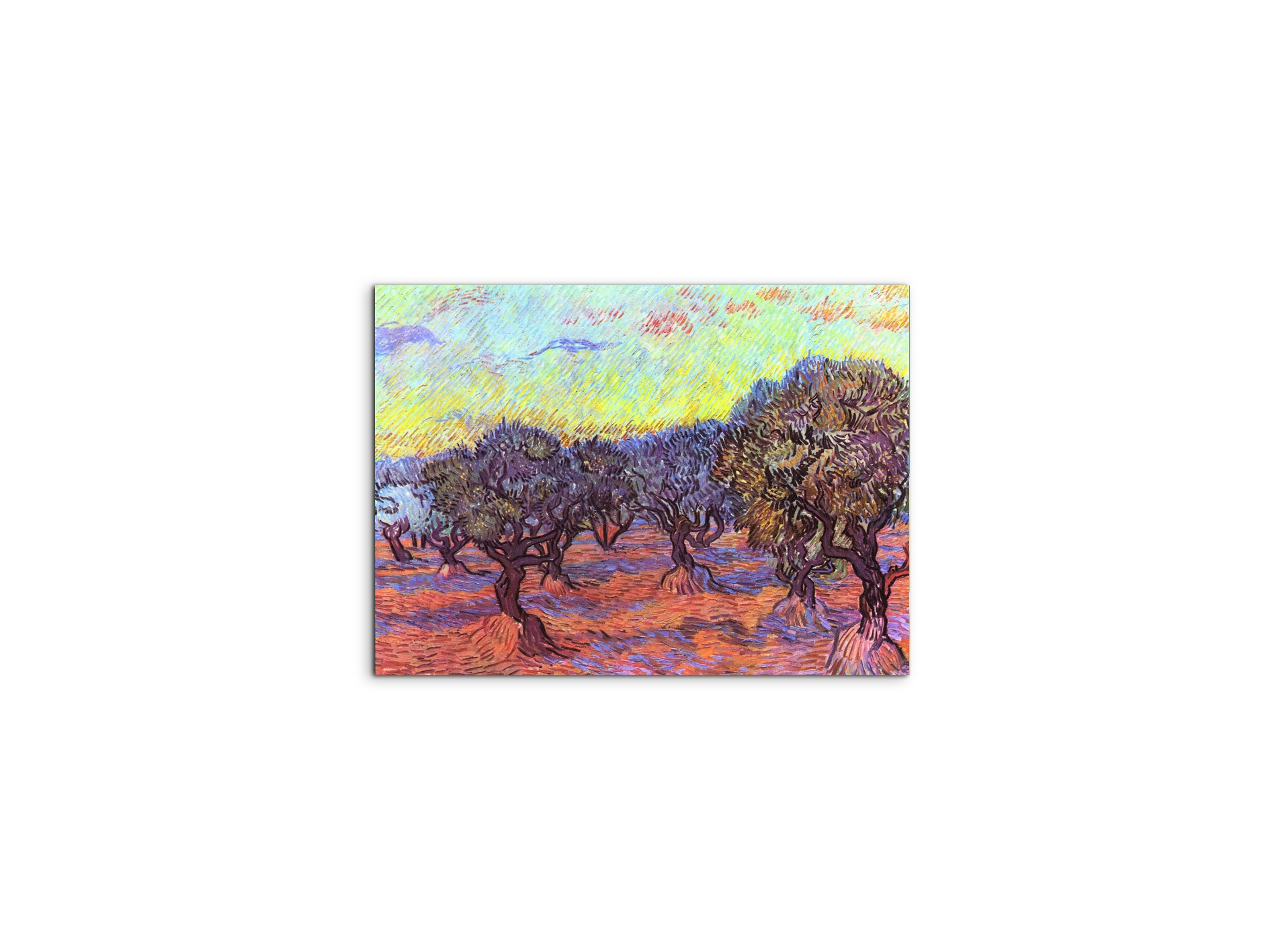 olive-trees-iias91157-#materiale_MetalArt Materic/dimensioni_50x37,50