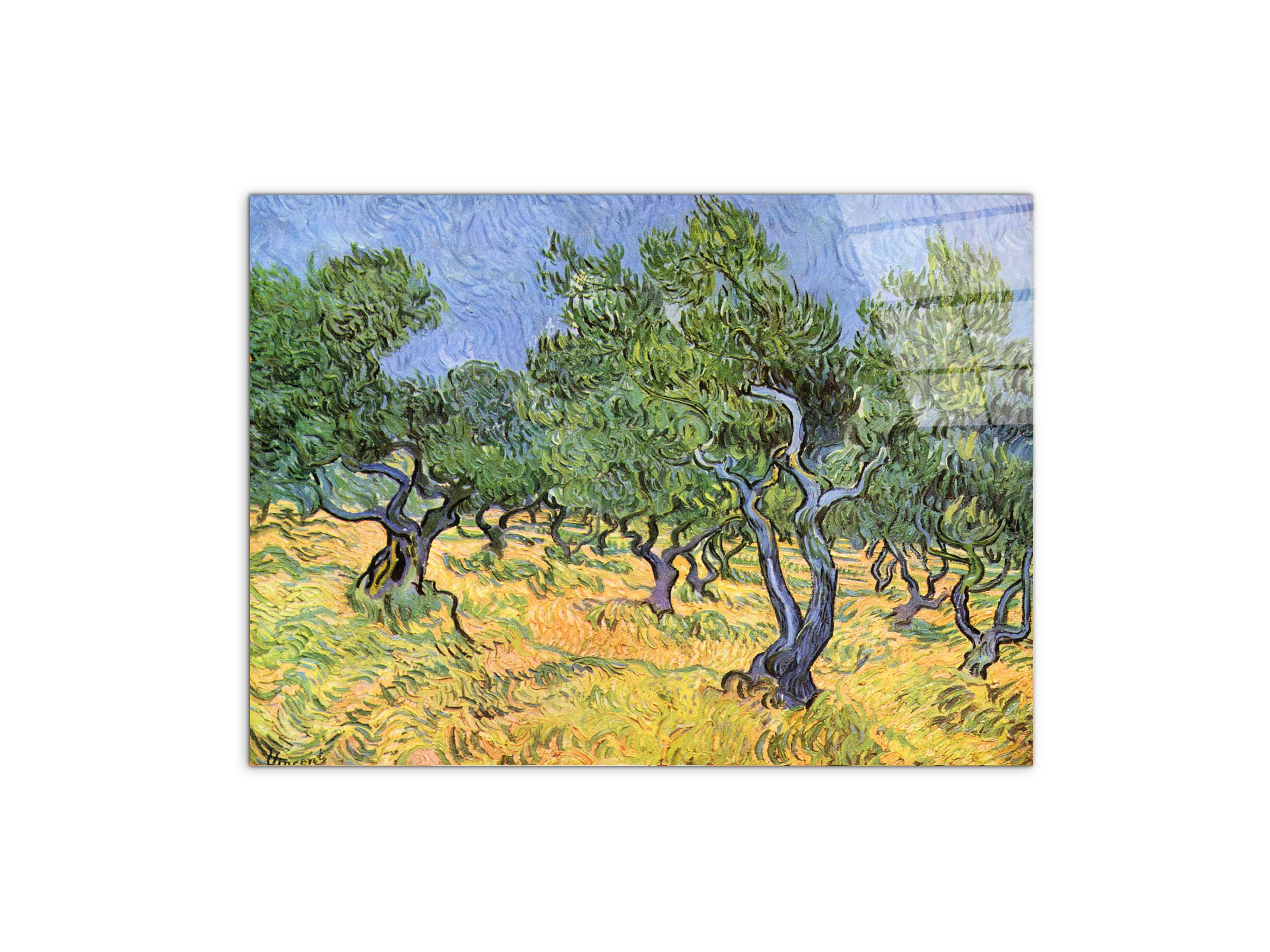 olive-treesas91159-#materiale_CrystalArt/dimensioni_76x57