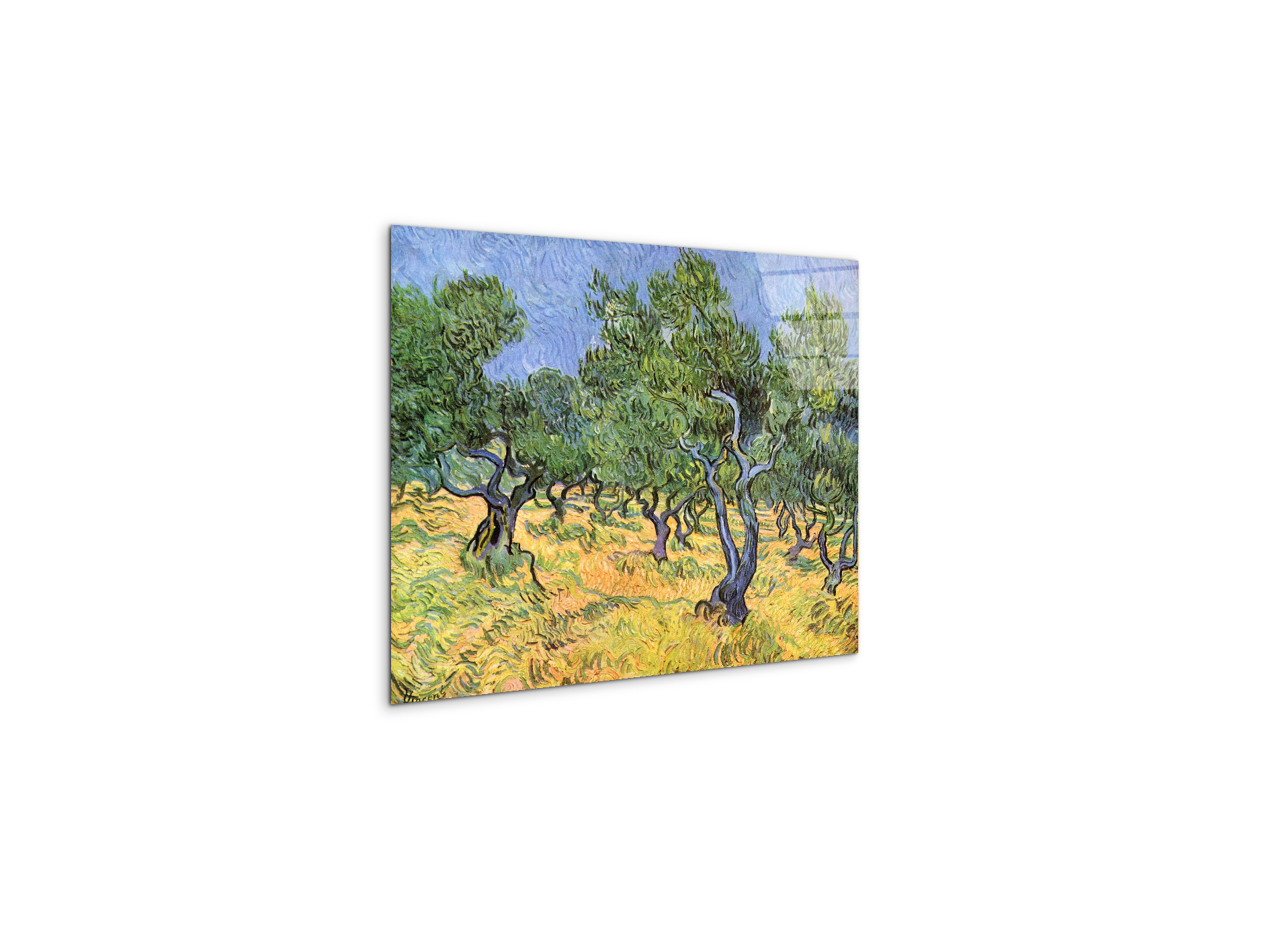 olive-treesas91159-#materiale_CrystalArt/dimensioni_50x37,50