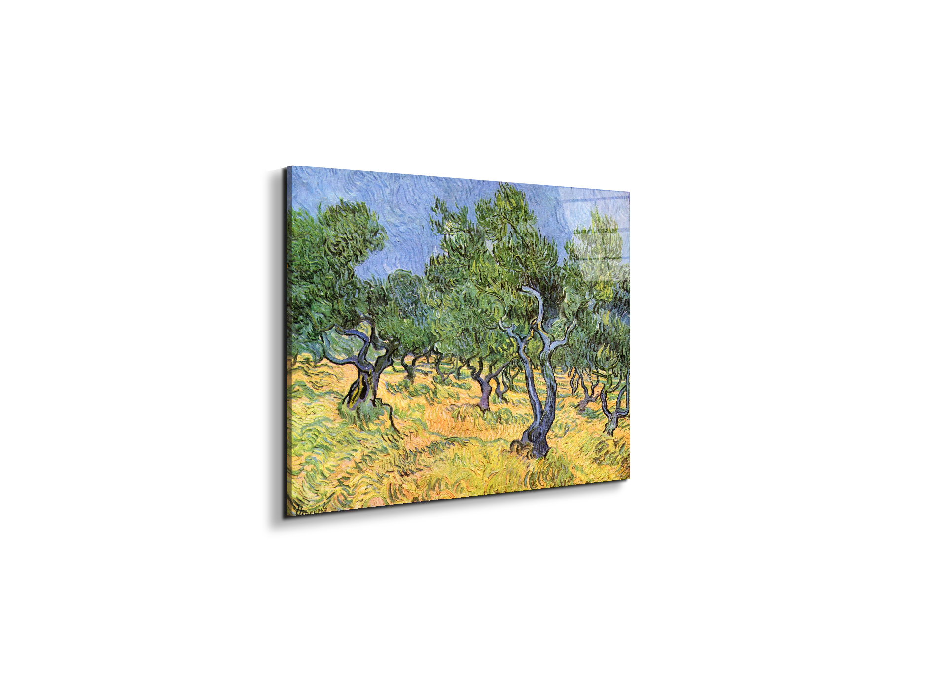 olive-treesas91159-#materiale_EarthArt Total Gloss/dimensioni_50x37,50