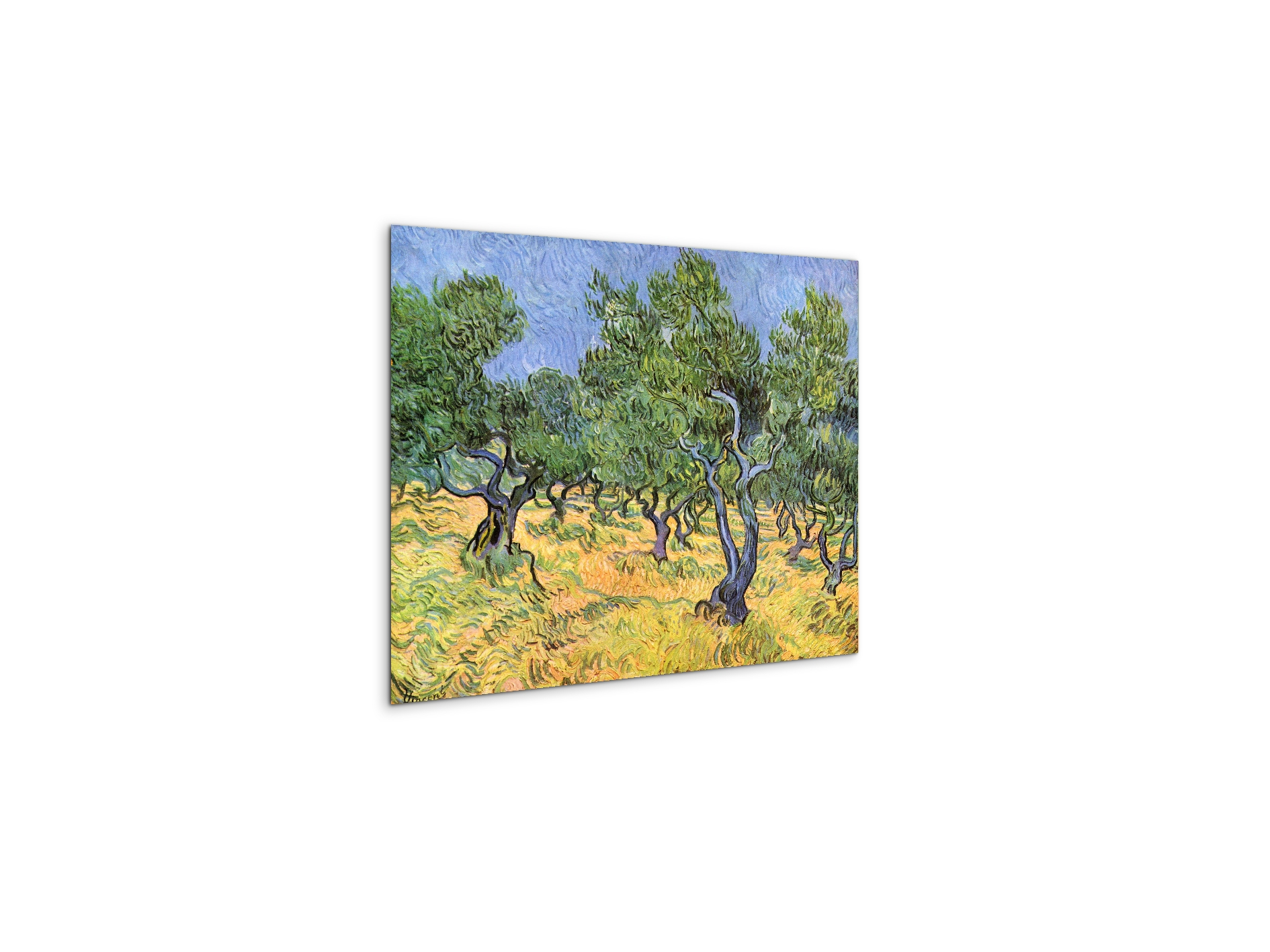 olive-treesas91159-#materiale_MetalArt Materic/dimensioni_50x37,50