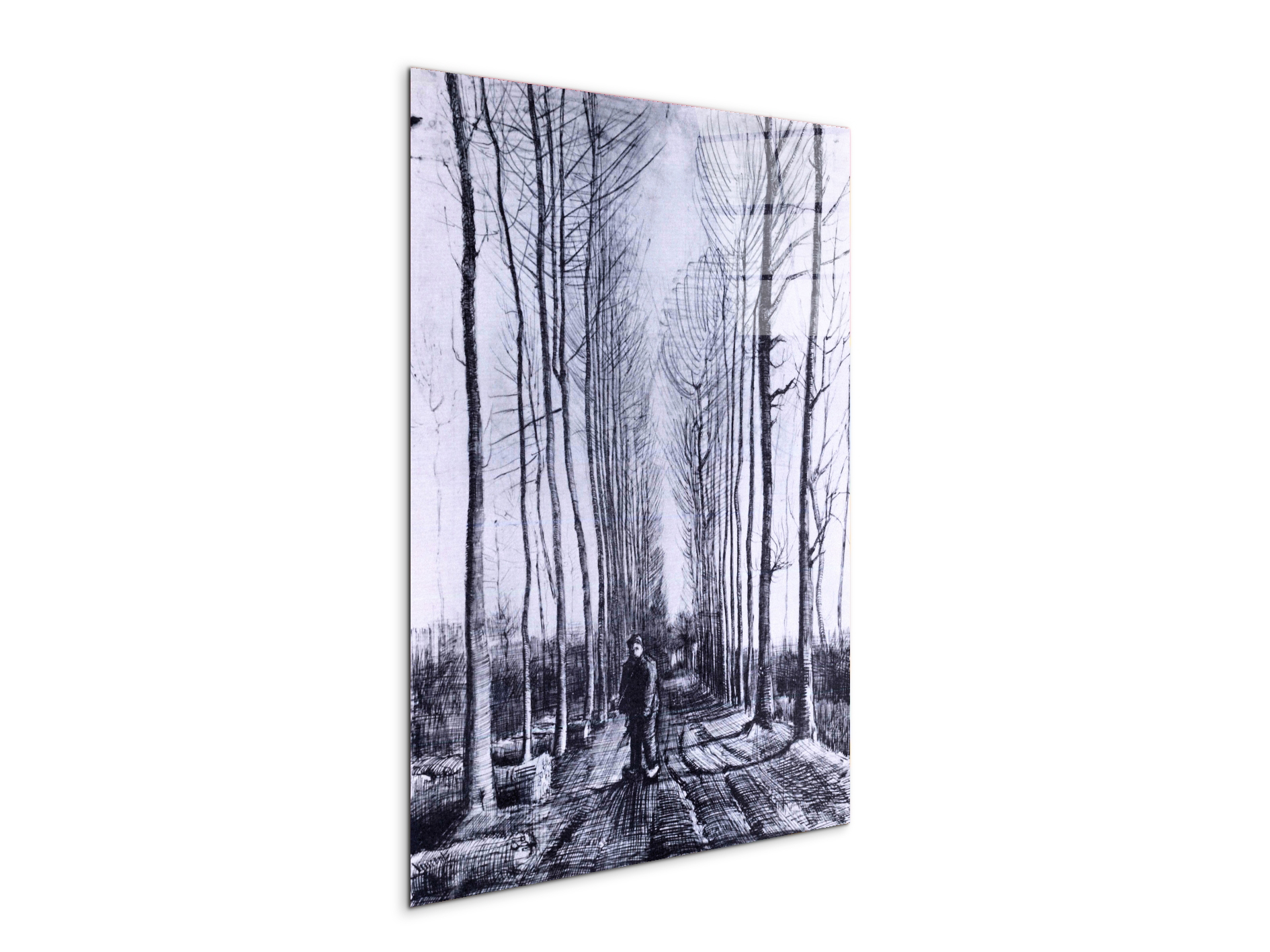 poplar-avenueas91167-#materiale_CrystalArt/dimensioni_57x76