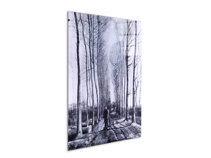 poplar-avenueas91167-#materiale_CrystalArt/dimensioni_57x76